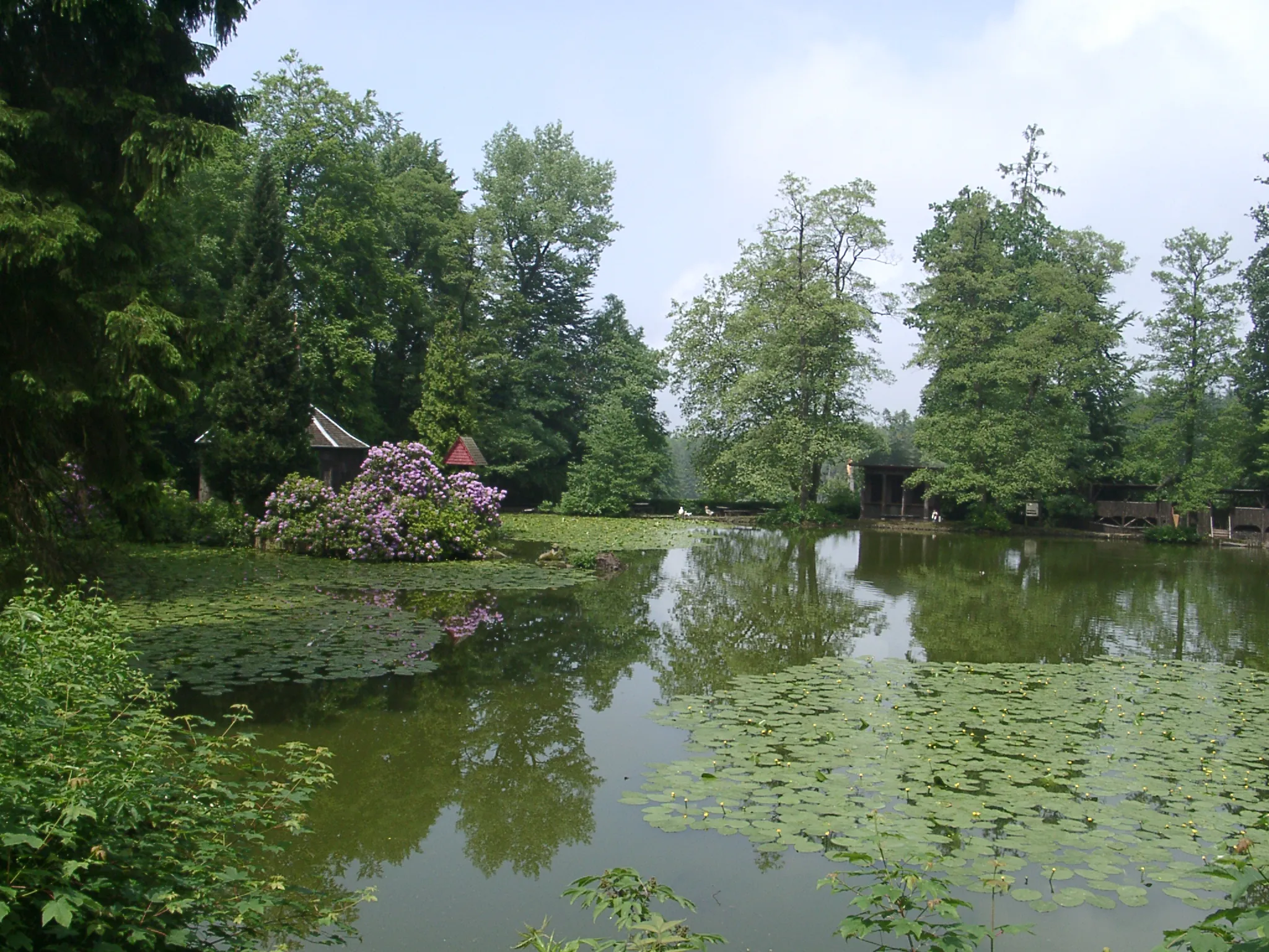 Photo showing: Eulbach, Englischer Garten