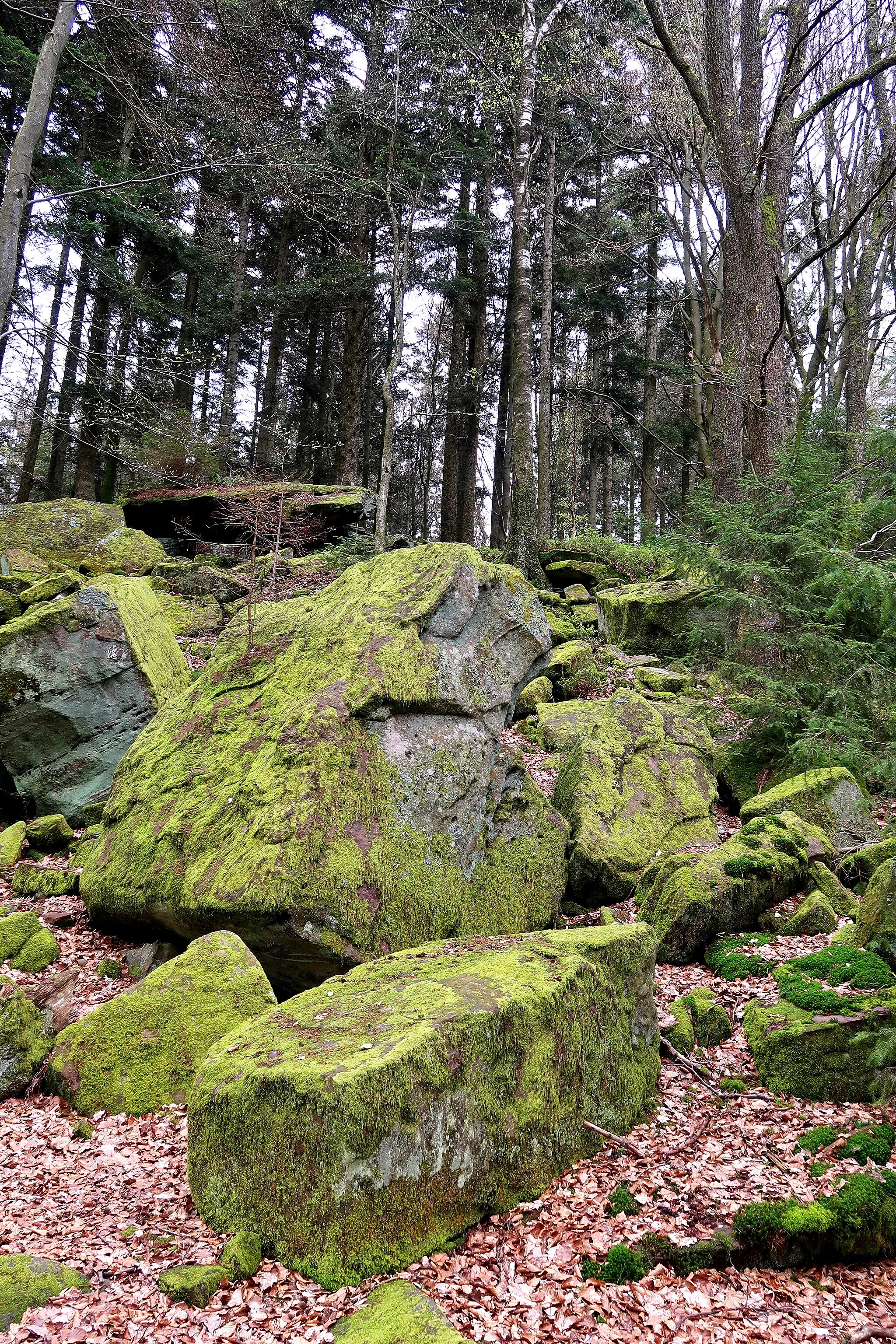 Photo showing: Das Ebersberger Felsenmeer ist ein Naturdenkmal (Nr. 437.259) in Erbach (Odenwald), Hessen, Deutschland