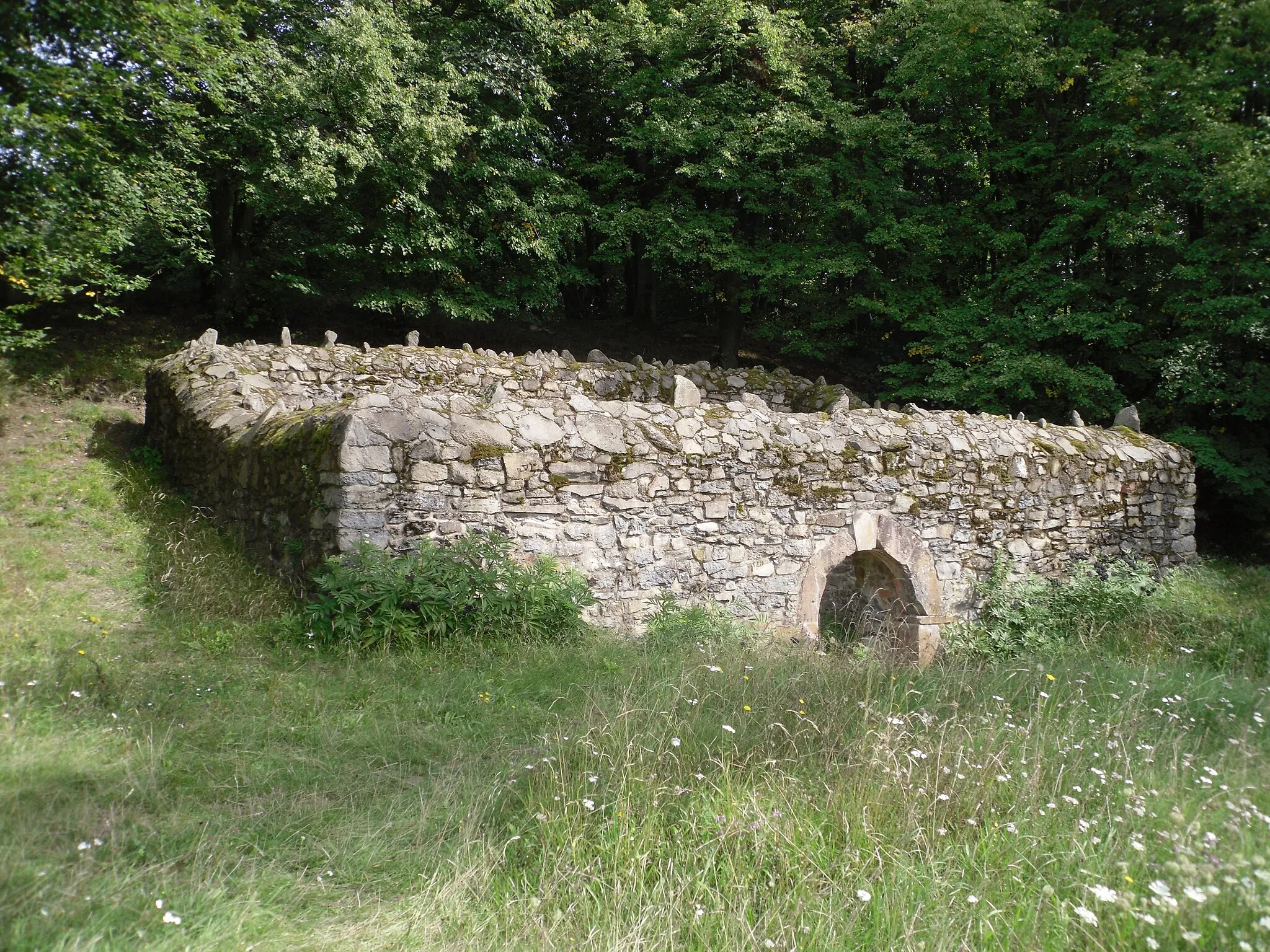 Photo showing: Ruins of a medieval castle building on Glauberg (Celtic settlement)