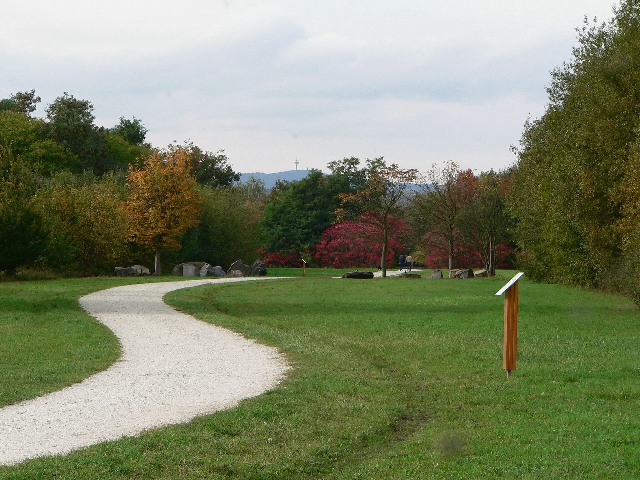 Photo showing: Weg durch das Arboretum Main Taunus