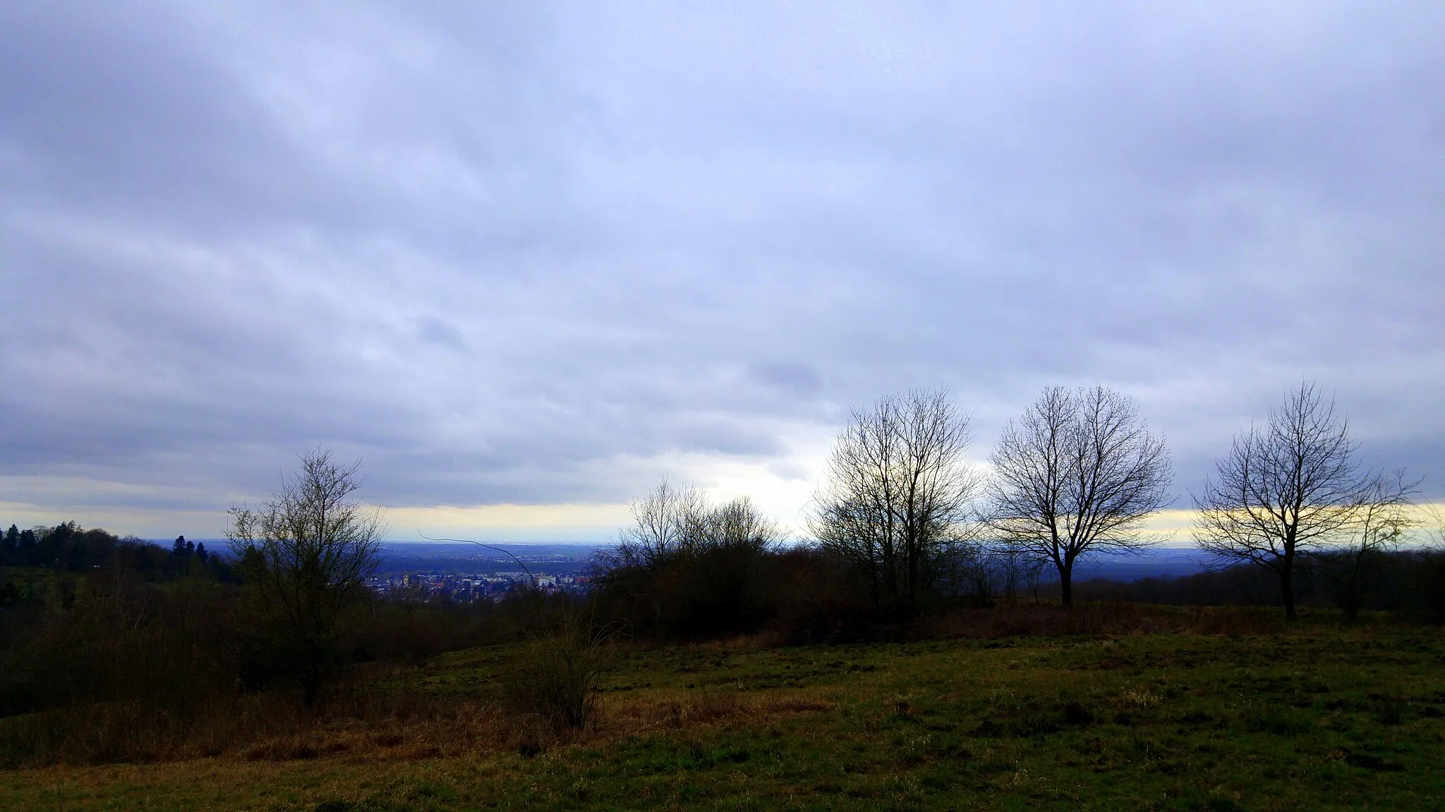 Photo showing: Prinzenberg near Darmstadt.