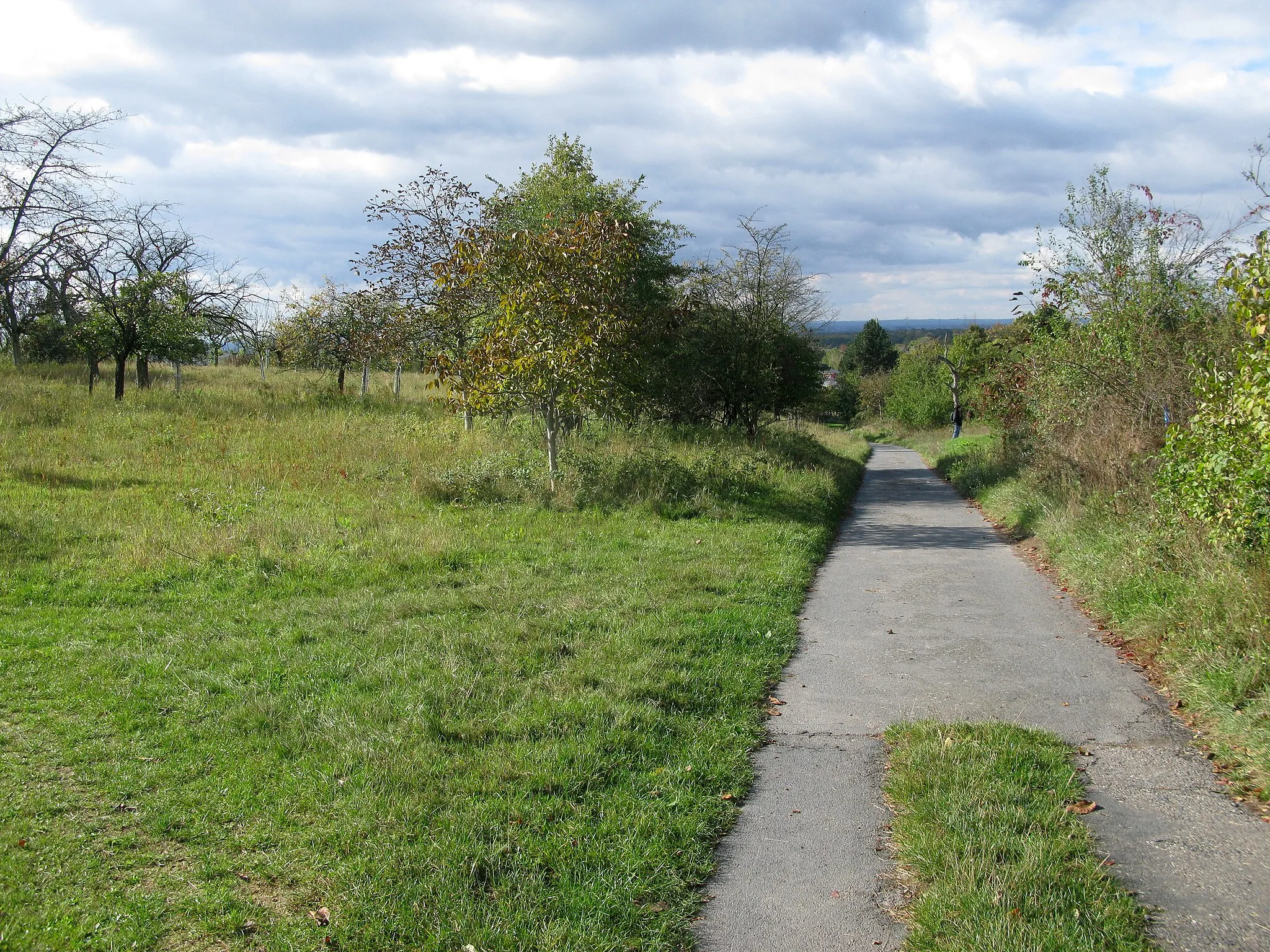 Photo showing: Orchard in Darmstadt-Eberstadt