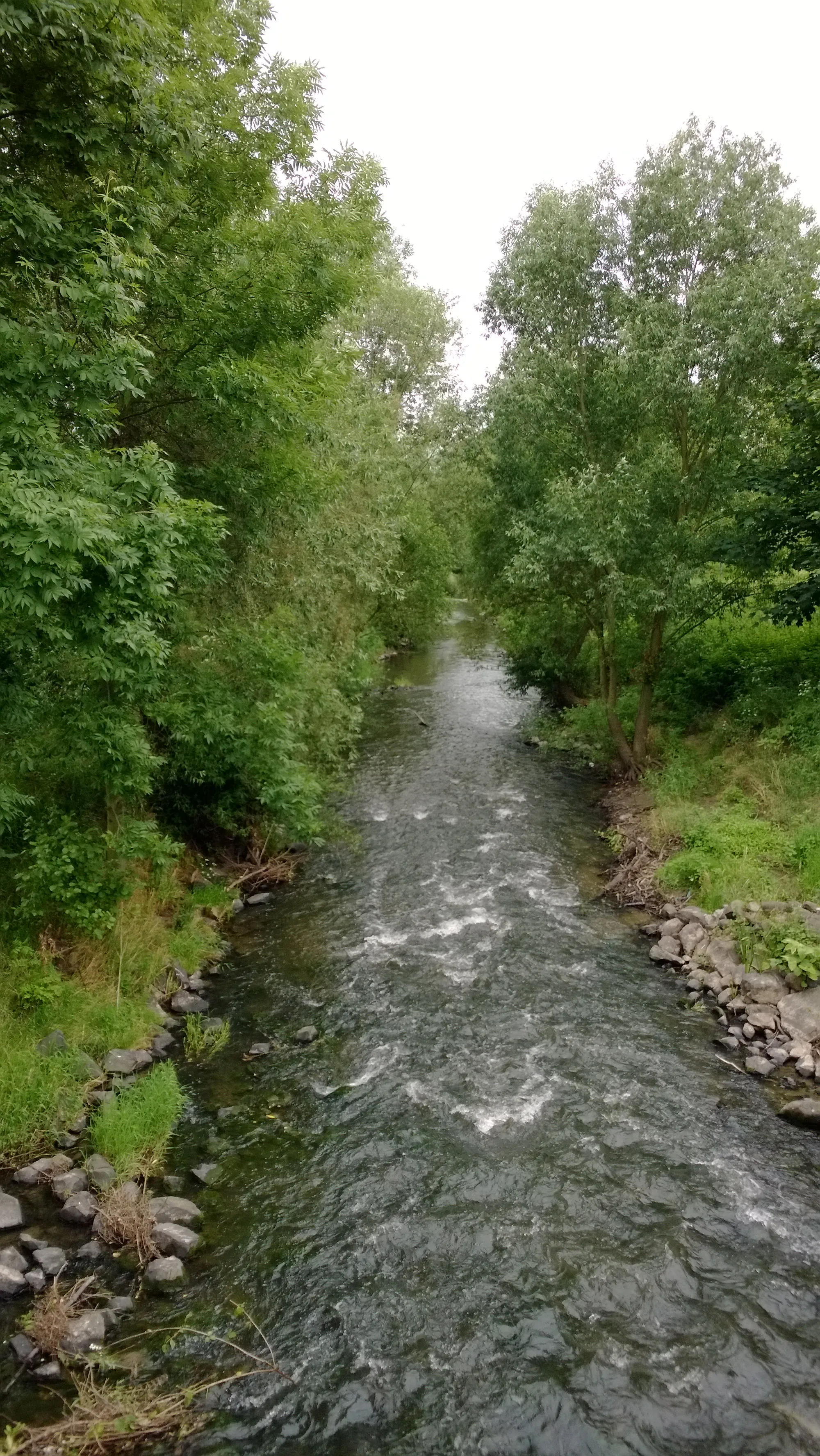 Photo showing: Die Wetter in Niddatal-Assenheim kurz vor ihrer Mündung in die Nidda.