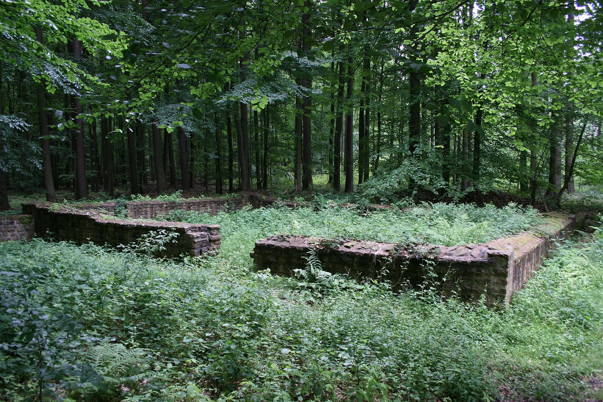 Photo showing: de:Wamboltsches Schlösschen, römischer Siedlungsplatz bei Groß-Umstadt-Heubach, Ansicht der konservierten Grundmauern von Gebäude I.