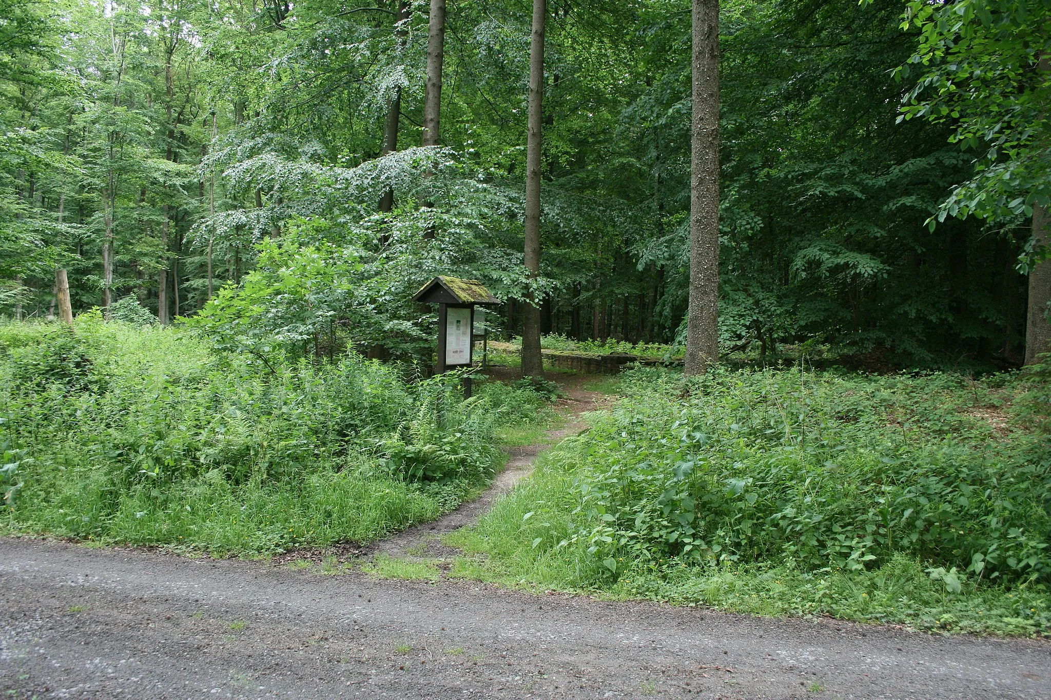 Photo showing: de:Wamboltsches Schlösschen, römischer Siedlungsplatz bei Groß-Umstadt-Heubach, Ansicht vom heutigen Waldweg (Alte Frankfurter Straße).