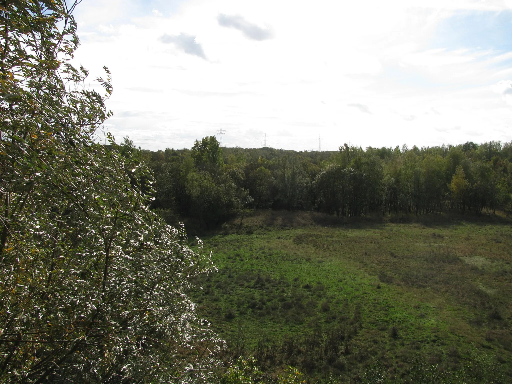 Photo showing: Blick vom Aussichtsturm 3 des Naturschutzgebiets Weilbacher Kiesgruben auf deren Gelände