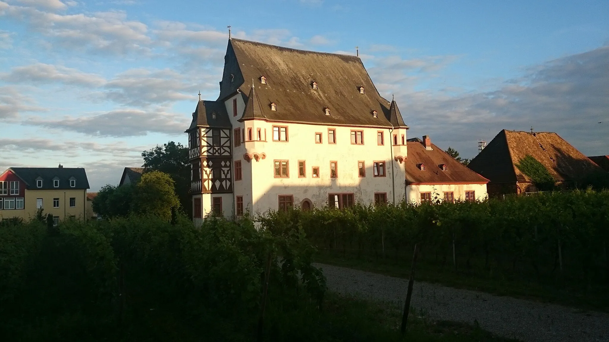 Photo showing: Schloss Schönborn (Geisenheim)