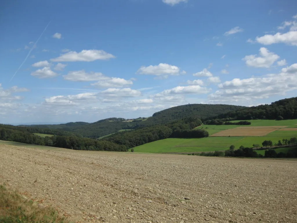 Photo showing: Ansicht Pferdskopf (Taunus) aus Richtung Mauloff