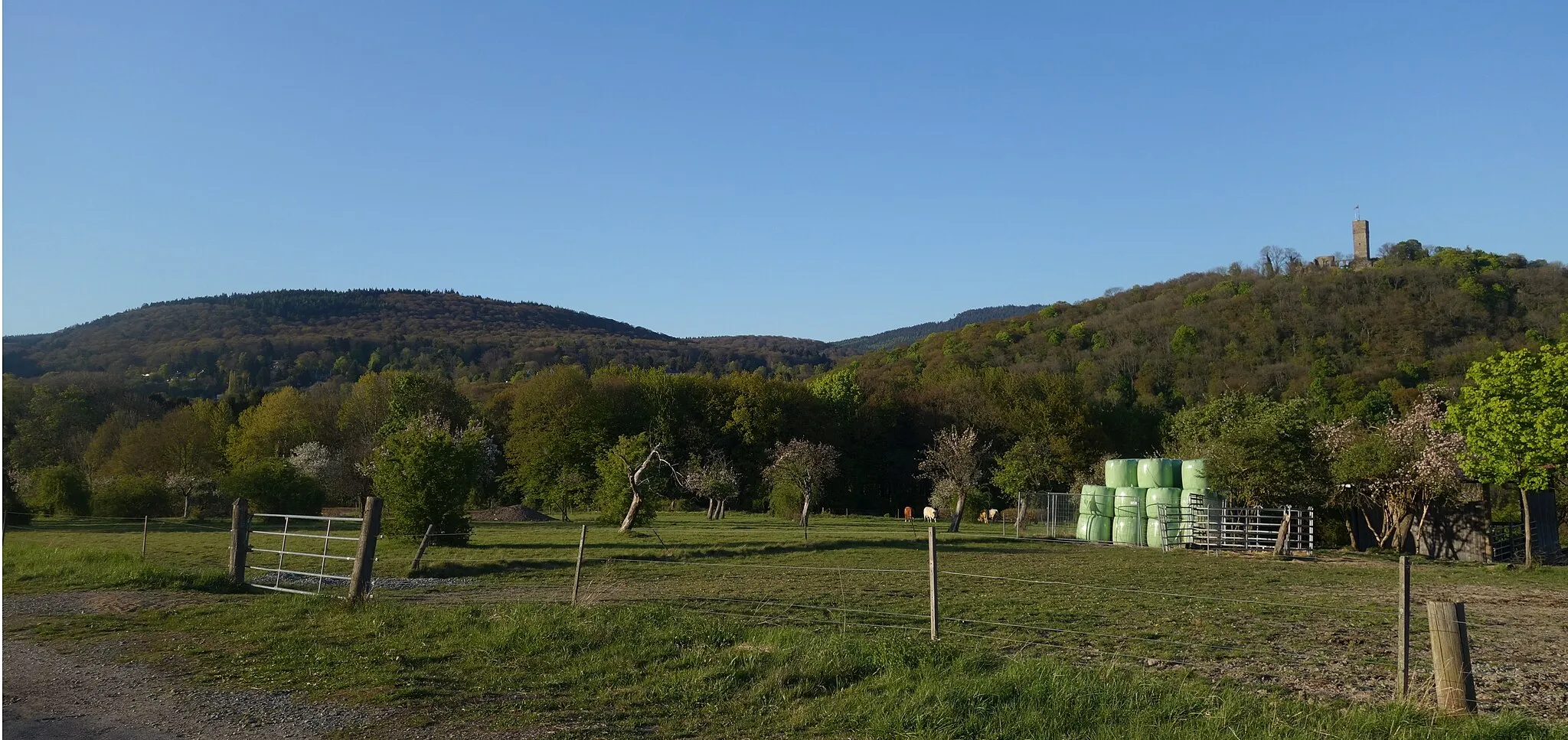 Photo showing: Links: Romberg (Taunus), rechts: Burgberg Königstein von Süden