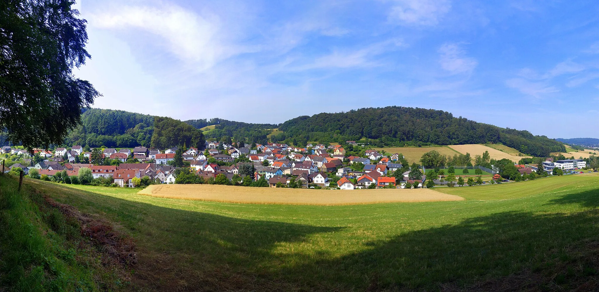 Photo showing: Panoramic view on Waschenbach (2016)