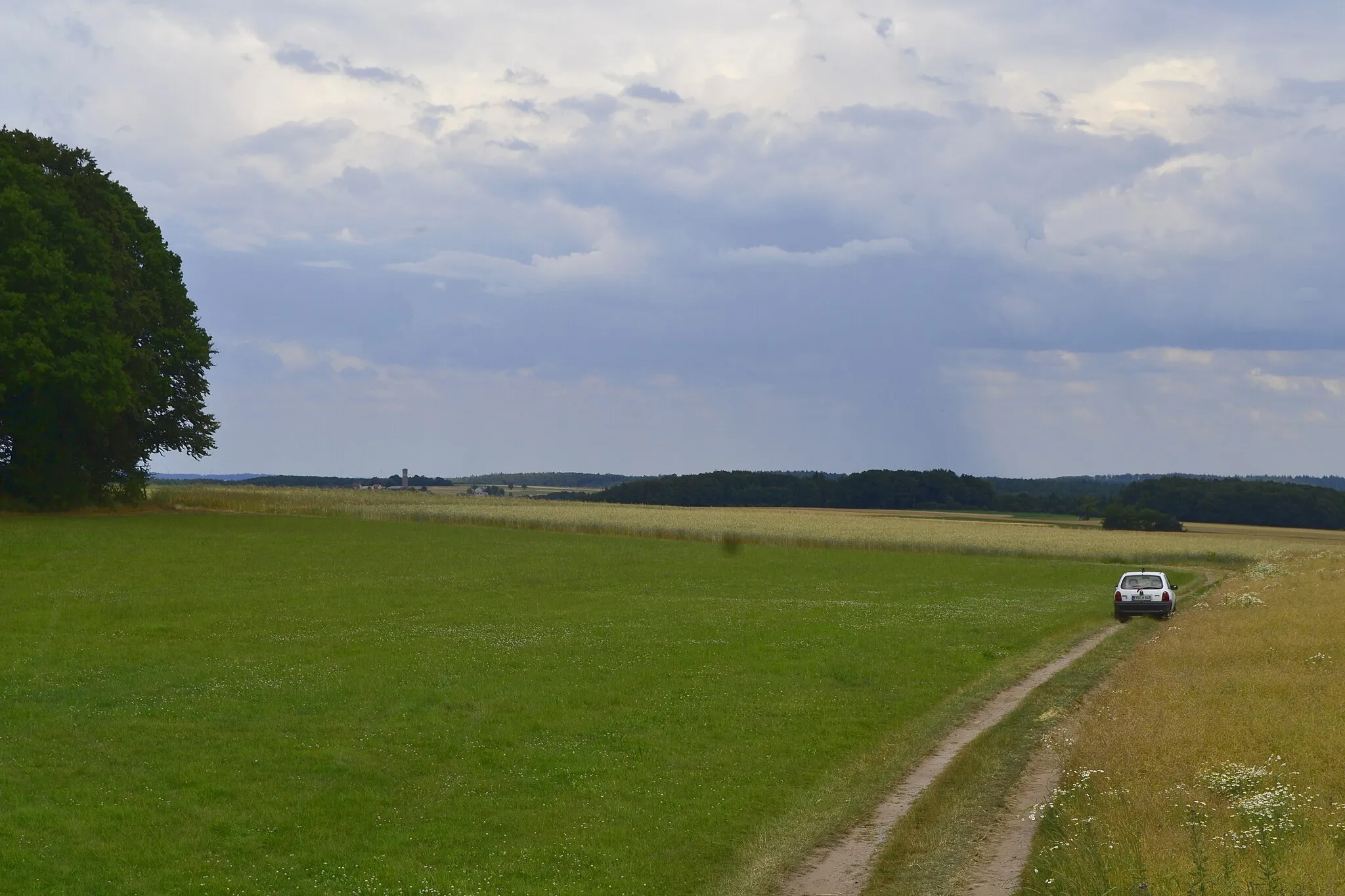 Photo showing: Höhenplateau im Bereich zwischen der Turmstelle Wp 10/22 und der nicht gesicherten Turmstelle Wp 10/23 bei Würzberg am Odenwaldlimes