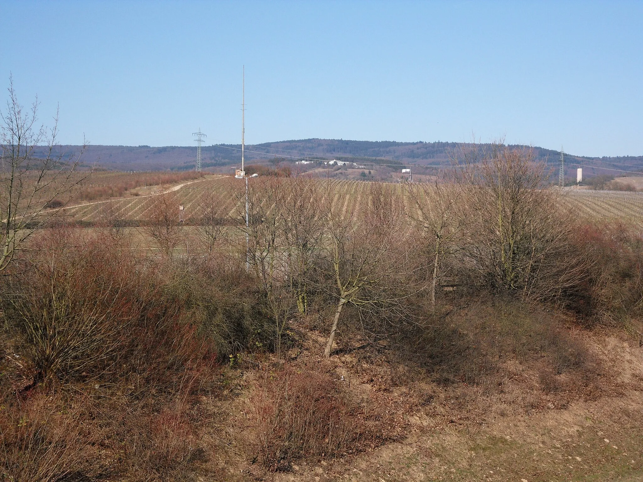 Photo showing: Blick über den zur Gemarkung Eltville zählenden Teil der Weinbergslage Kiedricher Sandgrub auf das bewaldete Rheingaugebirge mit seiner zweithöchsten Erhebung, dem Erbacher Kopf (580 m), darunter der Gebäudekomplex auf dem Hahnwald bei Kiedrich, am rechten Bildrand der Bergfried von Burg Scharfenstein, darüber der Einschnitt, über den die Straße von Kiedrich nach Hausen vor der Höhe führt