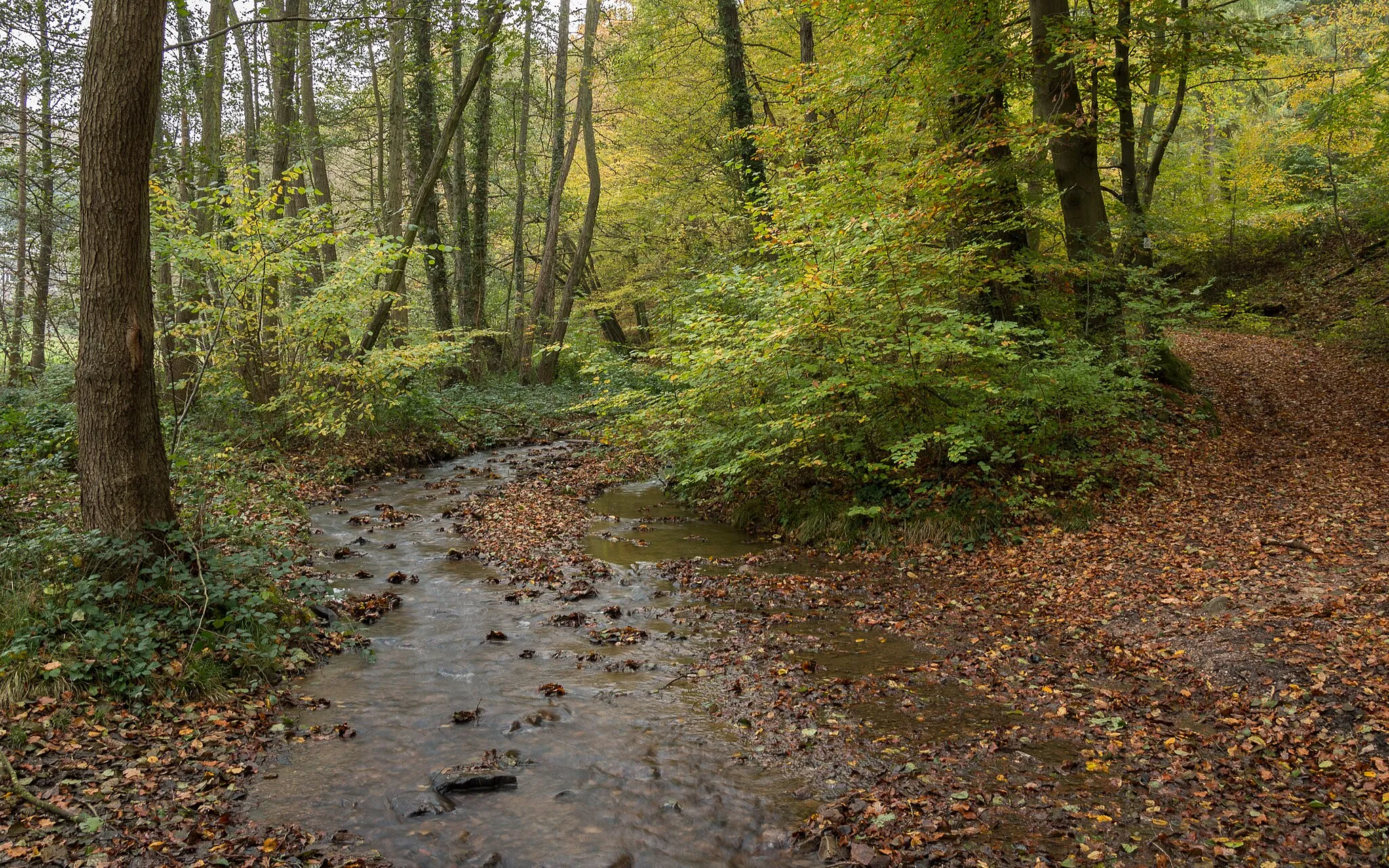Photo showing: The Elsterbach creek in the Rheingau nearMarienthal