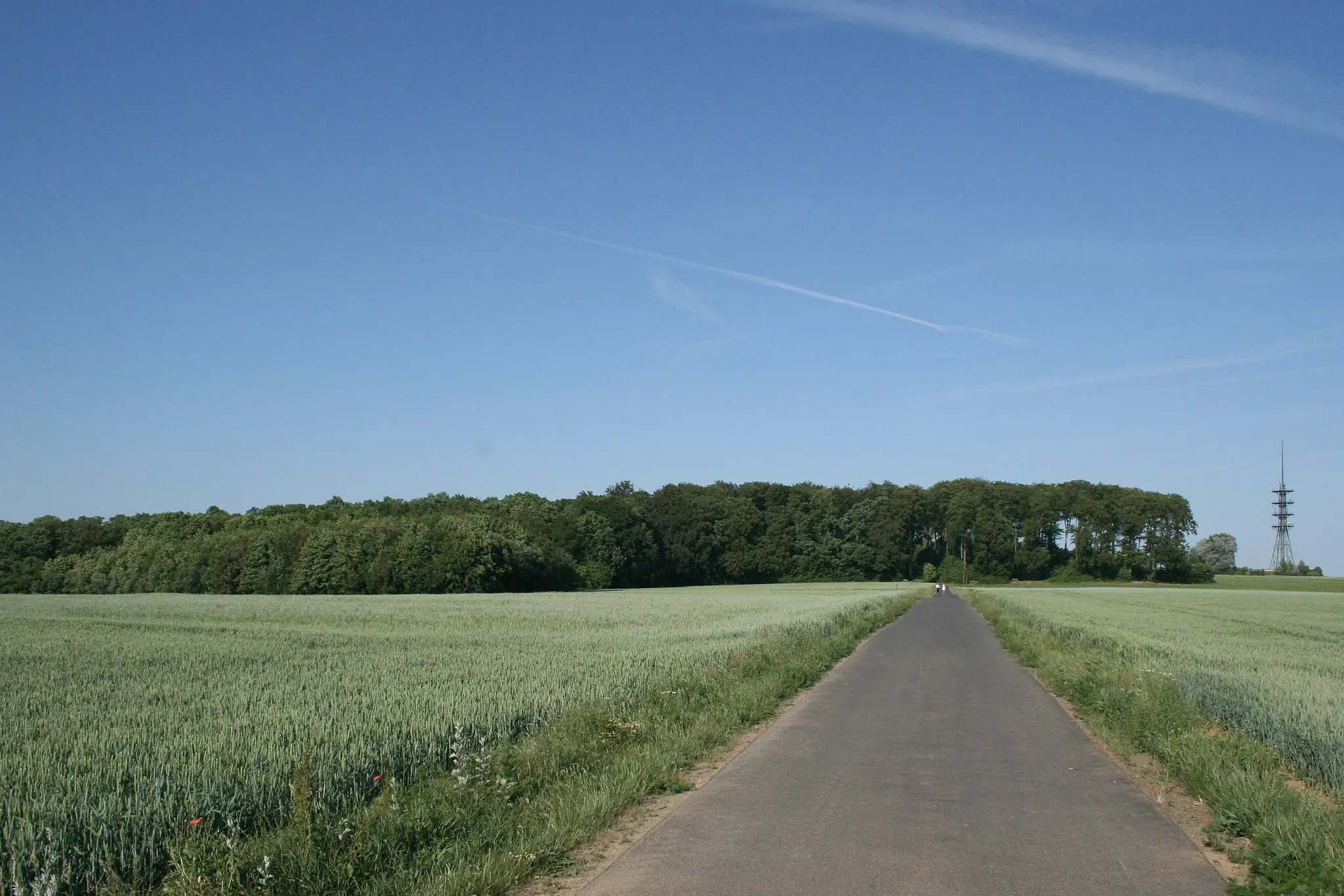 Photo showing: Hühnerberg zwischen Maintal und Niederdorfelden, Main-Kinzig-Kreis, Hessen. Blick von Westen mit der Kleinen Loh und dem Sendeturm.