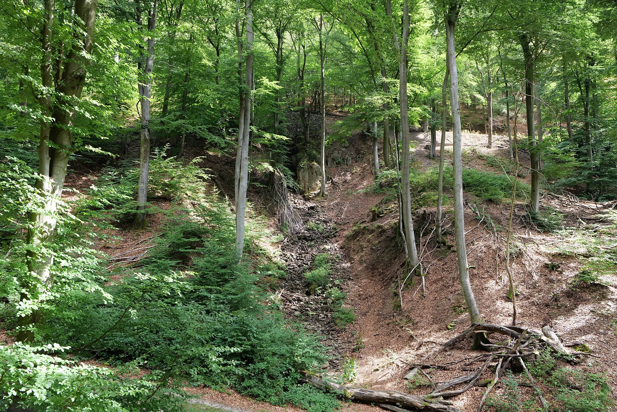 Photo showing: Rombachwasserfall am Rombach im Taunus ohne Wasser am 18. August 2020.