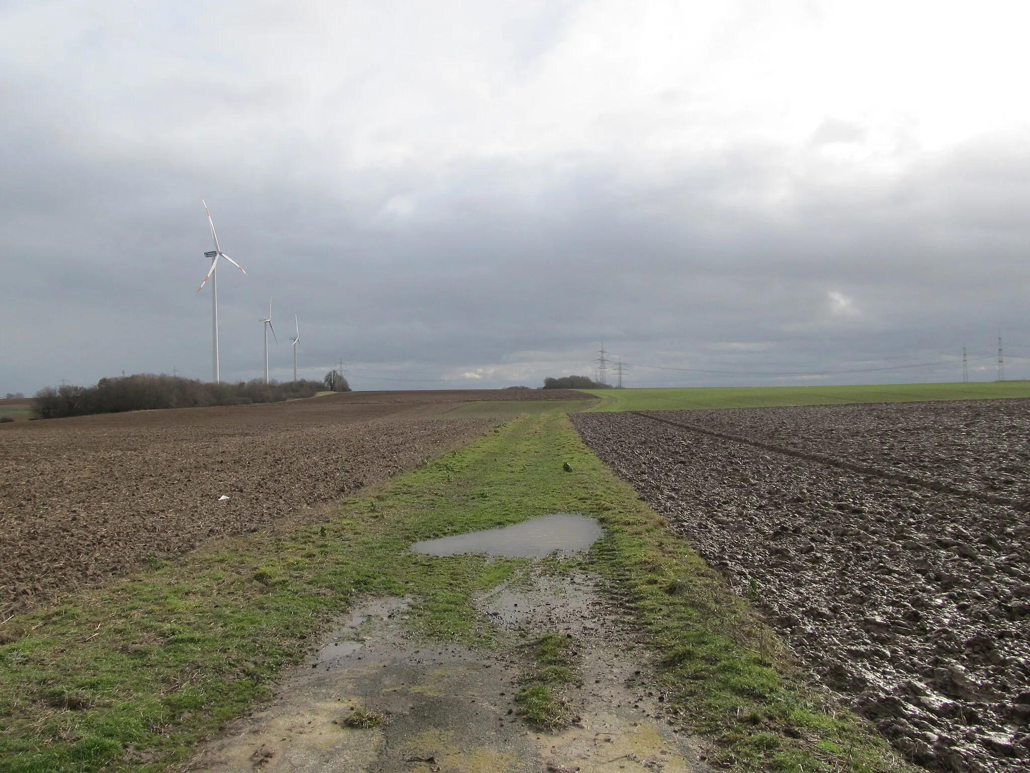 Photo showing: von der Kreuzung der Landstraßen 3205 und 3352 bei Petterweil führt ein Feldweg nach Süden zu der Flur mit dem Namen „Beim Gericht“