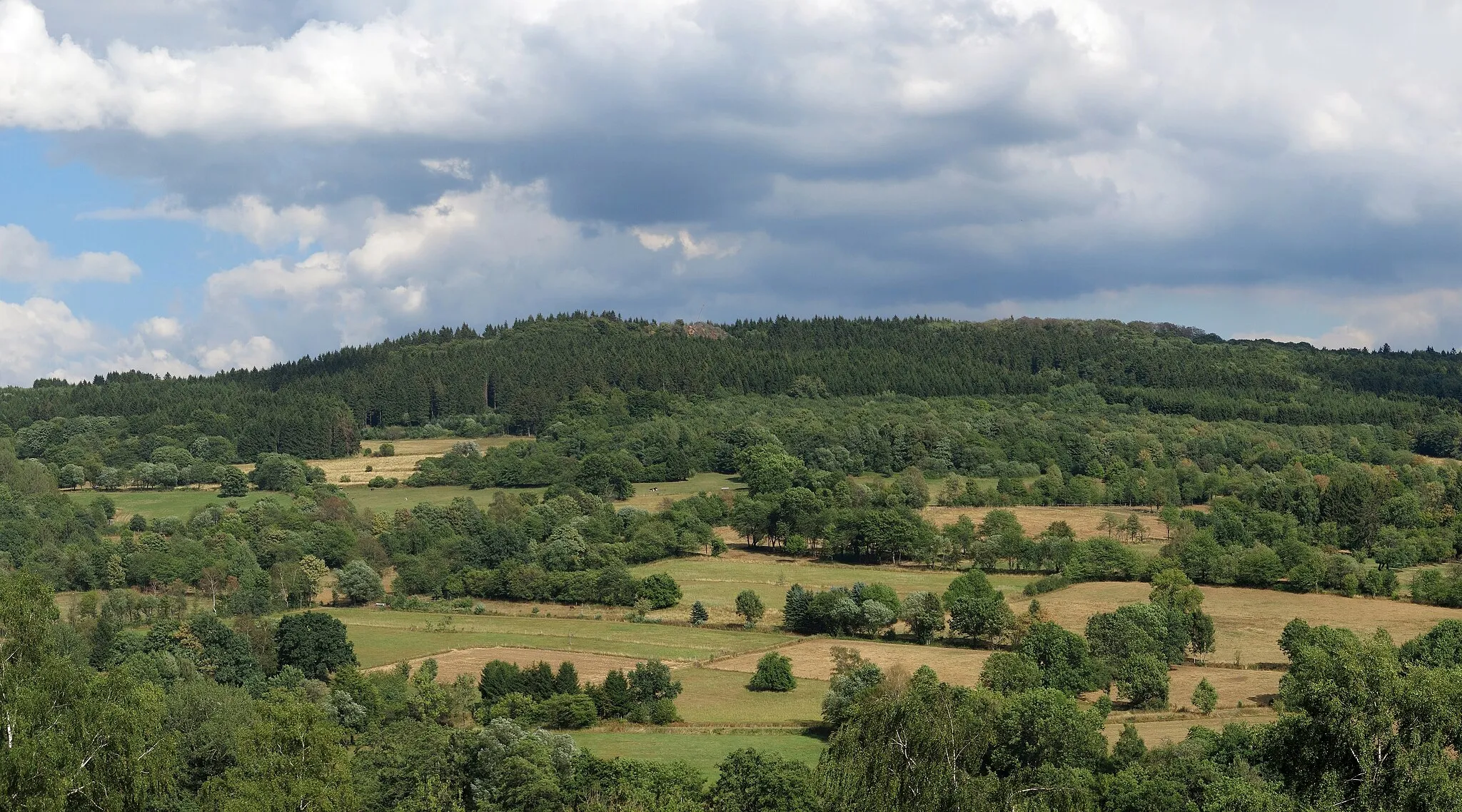 Photo showing: The Bilstein in the Vogelsberg seen from west