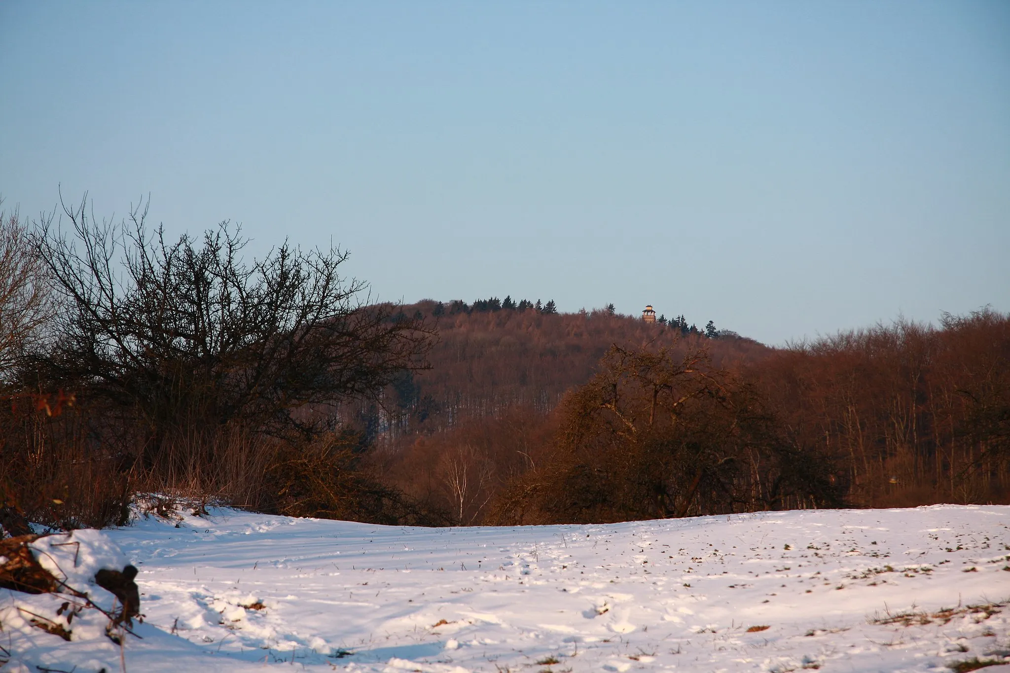 Photo showing: the Hessian Mountain Kellerskopf in the Taunus mountain range