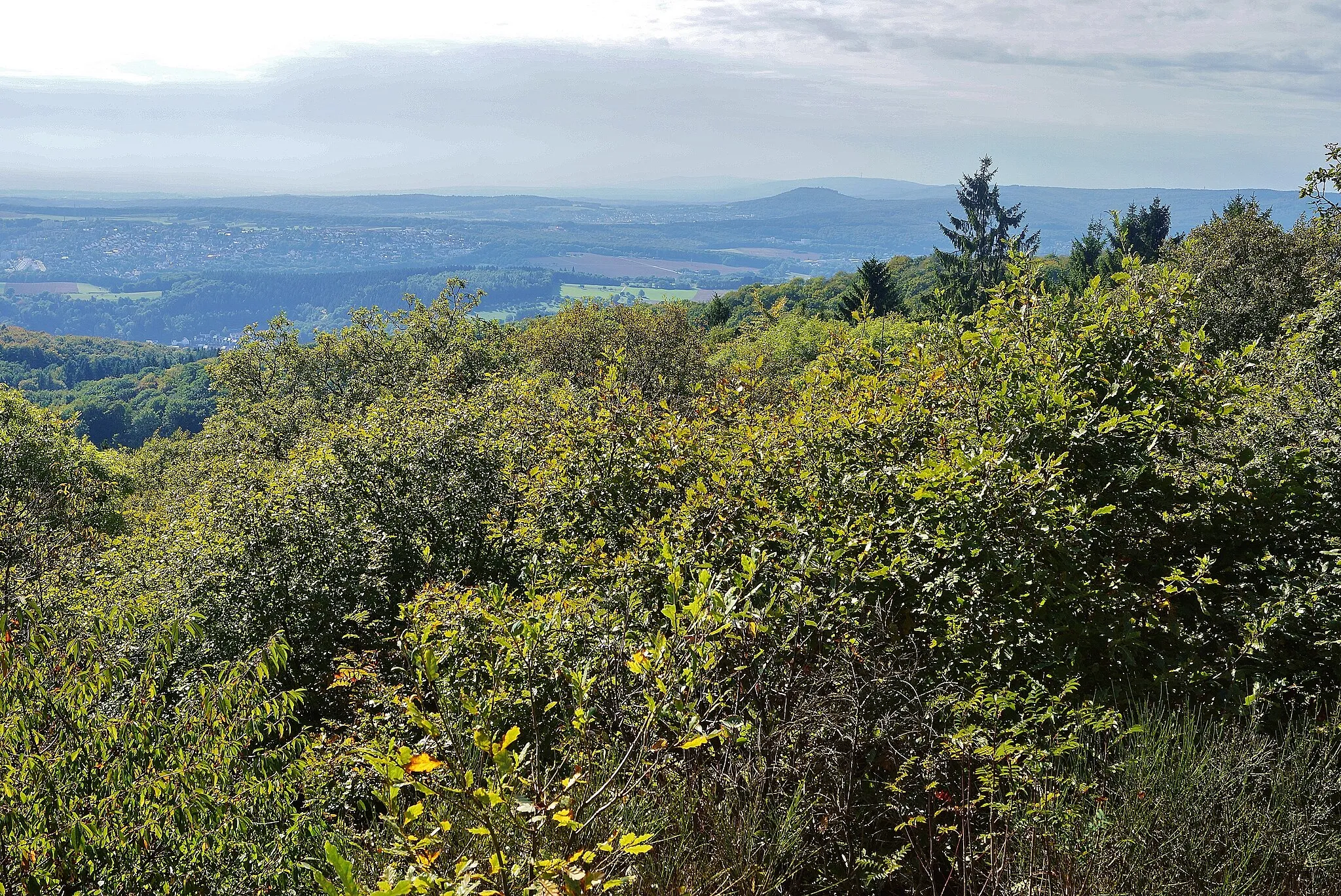 Photo showing: Von der Aussichtsbank "Eppoblick" an der Westseite des Rosserts unweit des zugewachsenen Gipfels blicken wir nach Südwesten zum Kellerskopf und Hoher Kanzel.