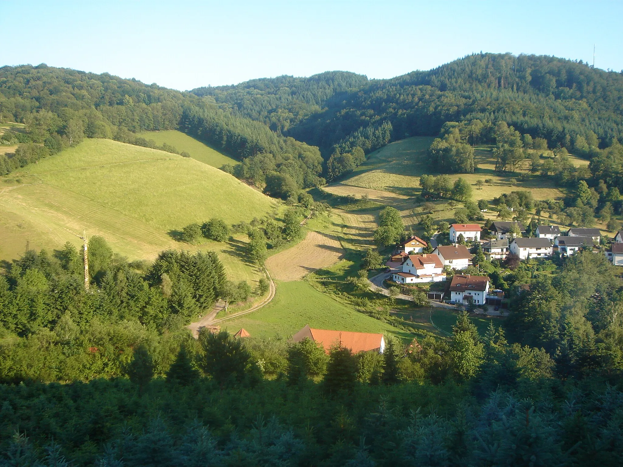 Photo showing: Blick auf den Daumberg vom Waldskopf aus