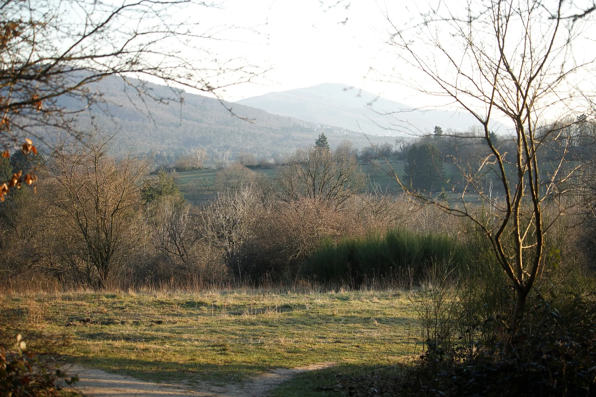 Photo showing: Blick vom Prinzenberg bei Darmstadt-Eberstadt zum Melibokus 517 ü.N., Hessische Bergstraße März 2022, die Bäume sind noch kahl.