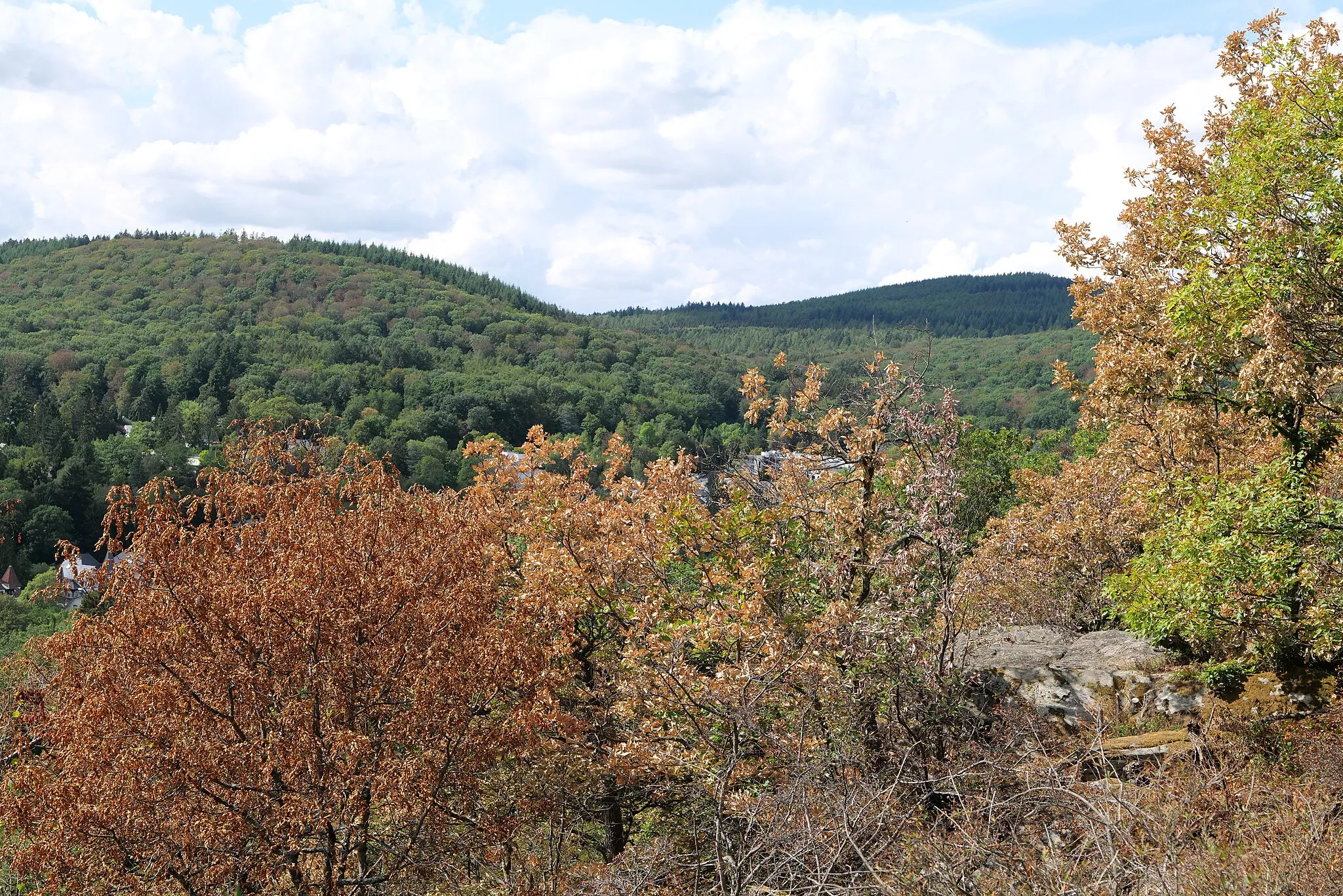 Photo showing: Blick vom Hildablick Aussichtspunkt am Burghain Falkenstein am 18. August 2020.