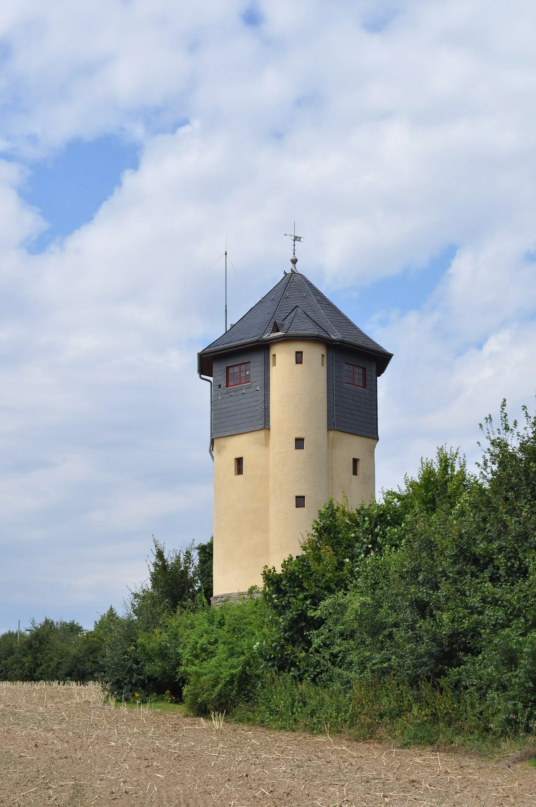 Photo showing: Water tower in Bad Soden