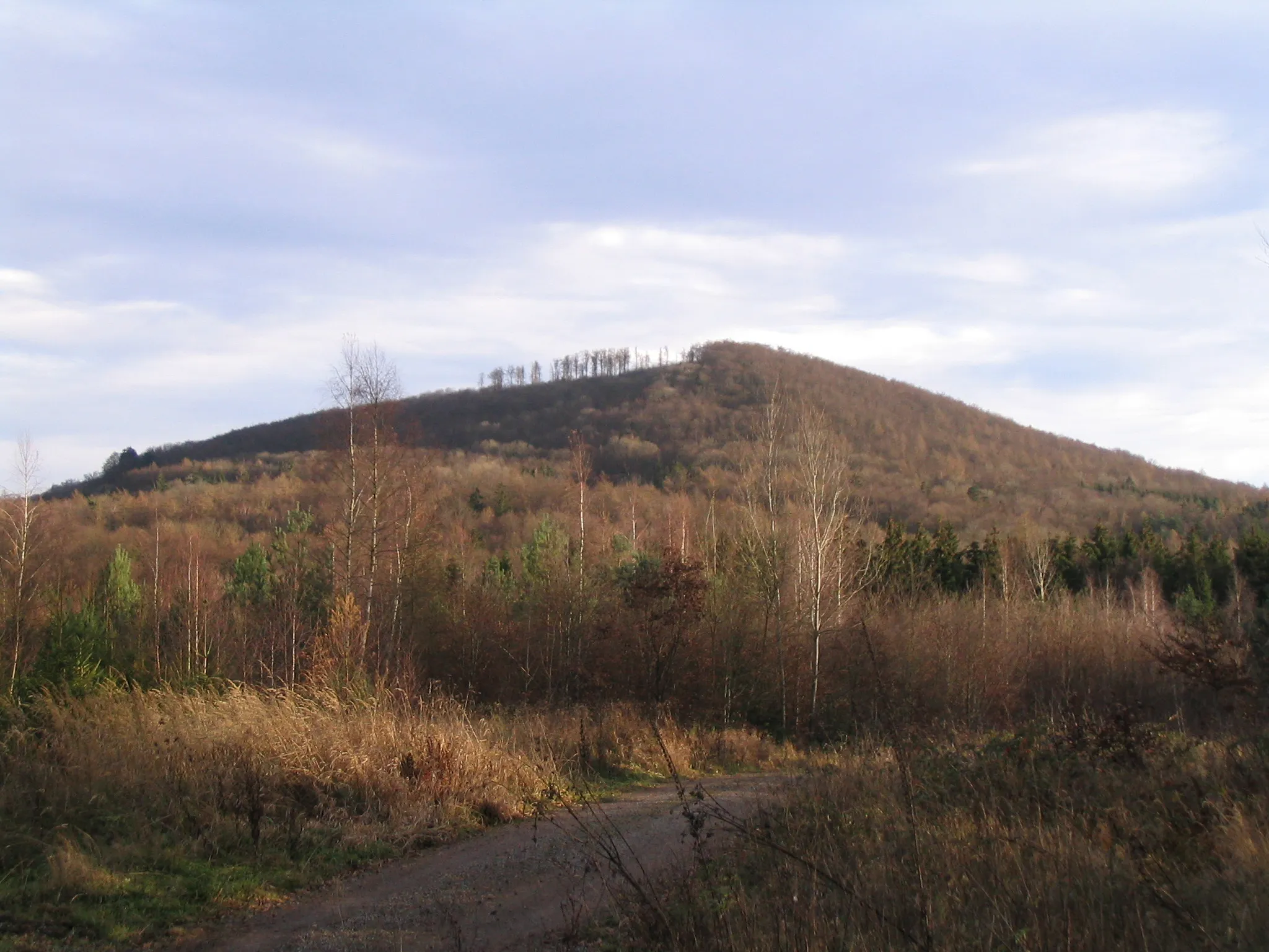 Photo showing: Blick zum Dreistelzberg in der Rhön beim Aufstieg von Wernarz, einem Ortsteil von Bad Brückenau im Landkreis Bad Kissingen