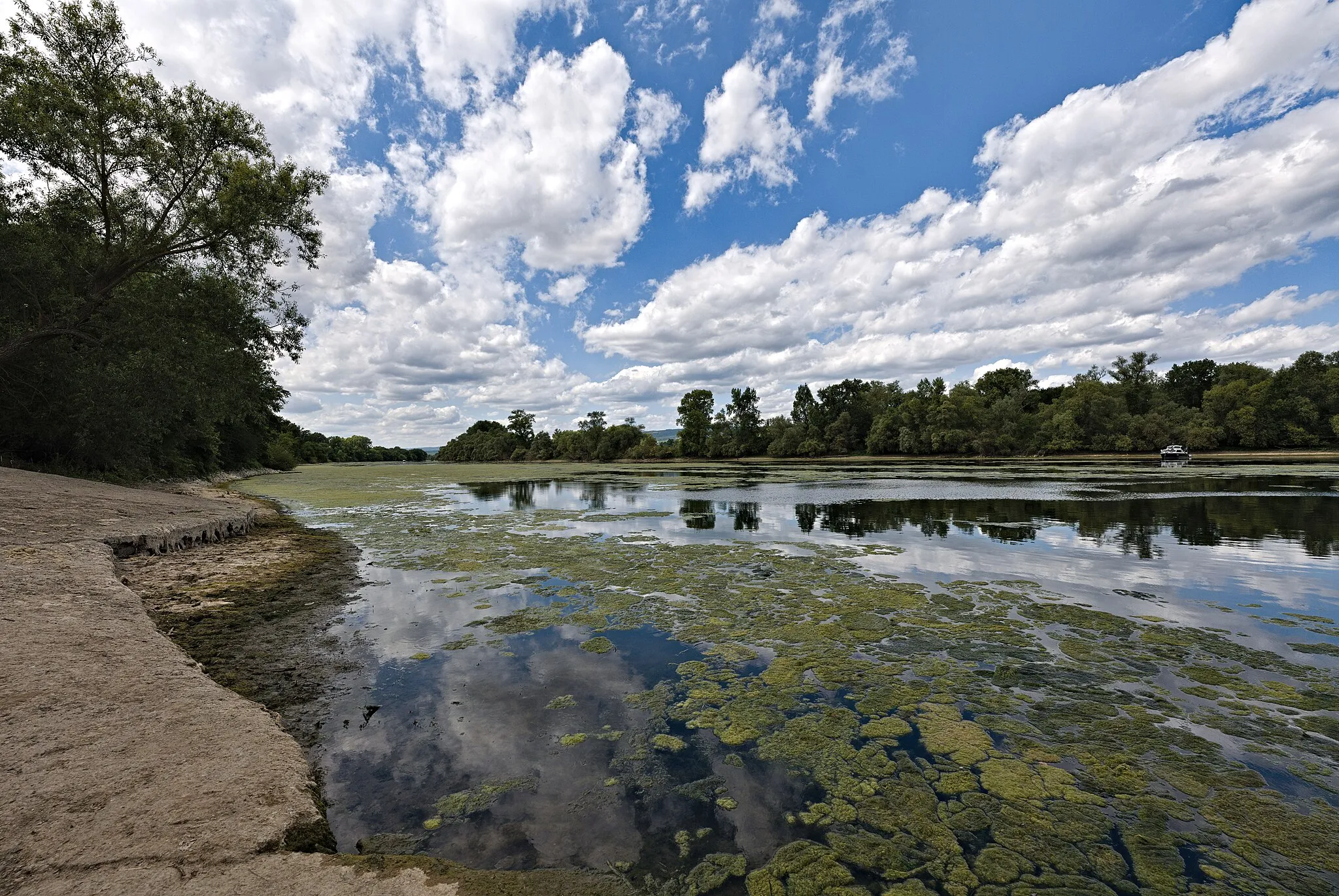 Photo showing: Oxbow lake in the Haderaue-Königsklinger Aue nature reserve.