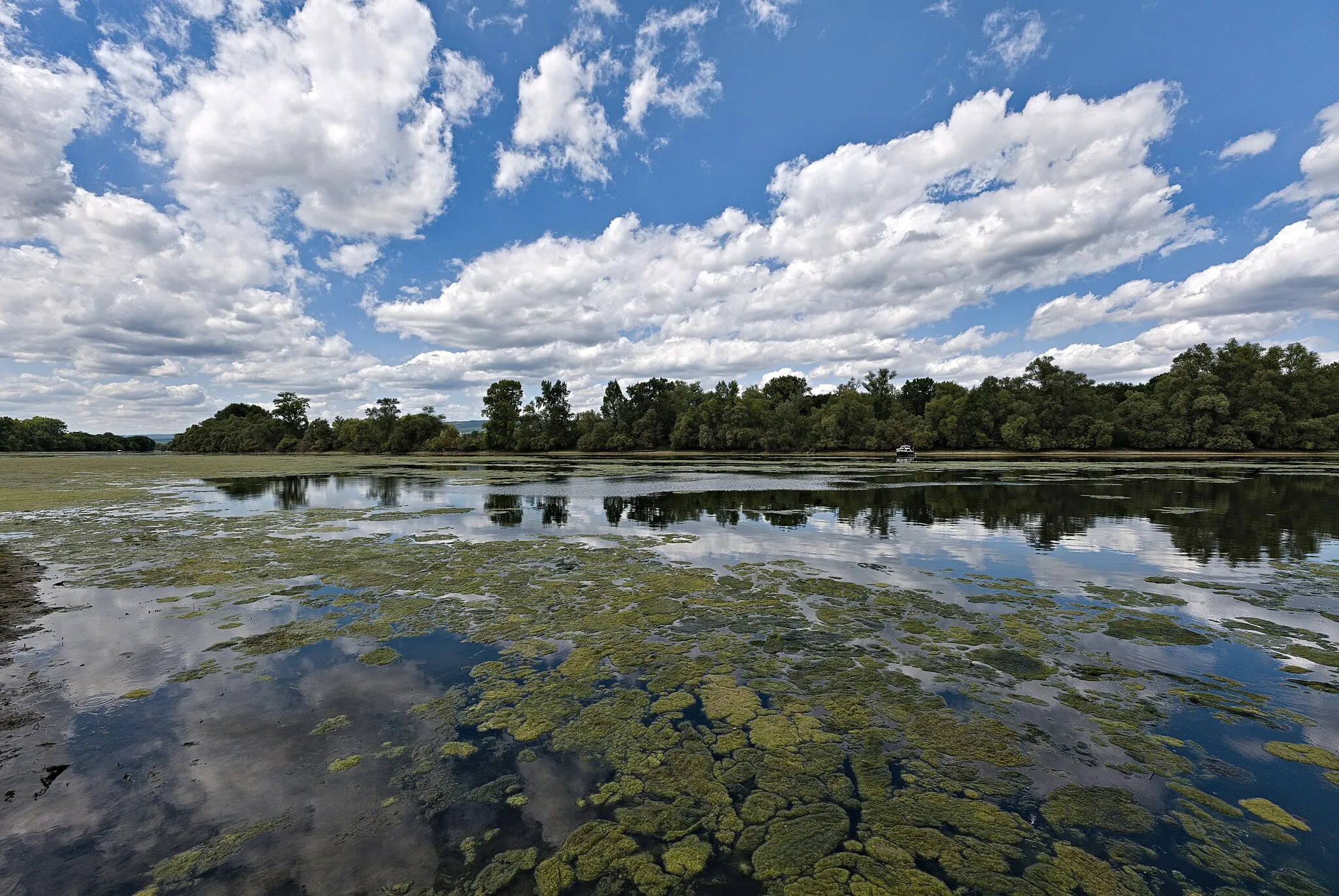 Photo showing: Oxbow lake in the Haderaue-Königsklinger Aue nature reserve.