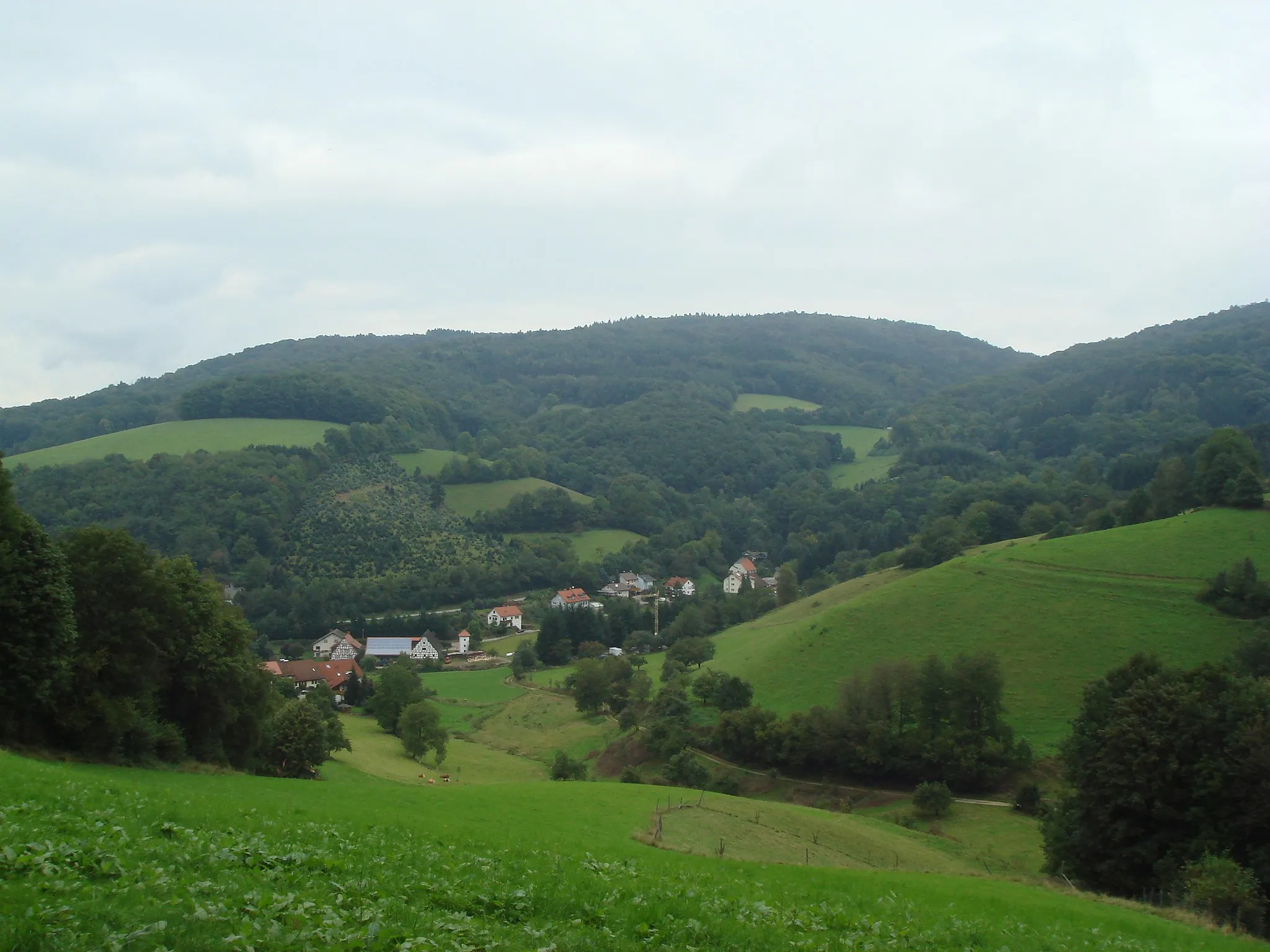 Photo showing: Waldskopf (538 m), Odenwald, Germany