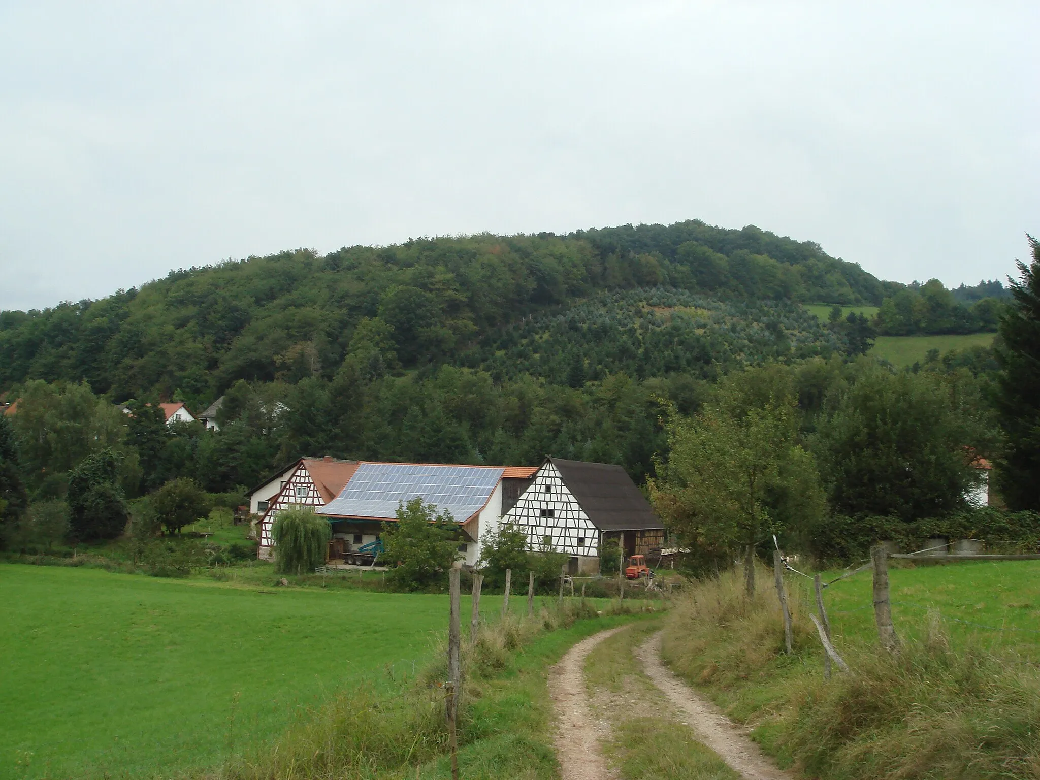 Photo showing: Waldskopf