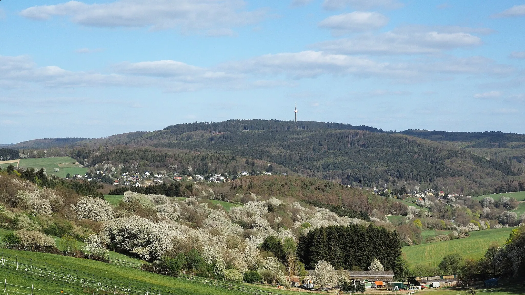 Photo showing: Hohe Wurzel (Taunus) as seen from the west