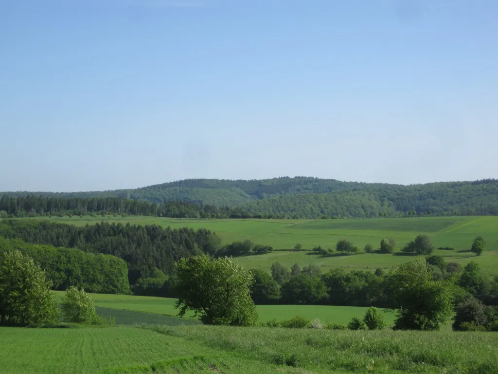 Photo showing: Neuzehntberg im Westlichen Hintertaunus aus Richtung des Taunuskamms