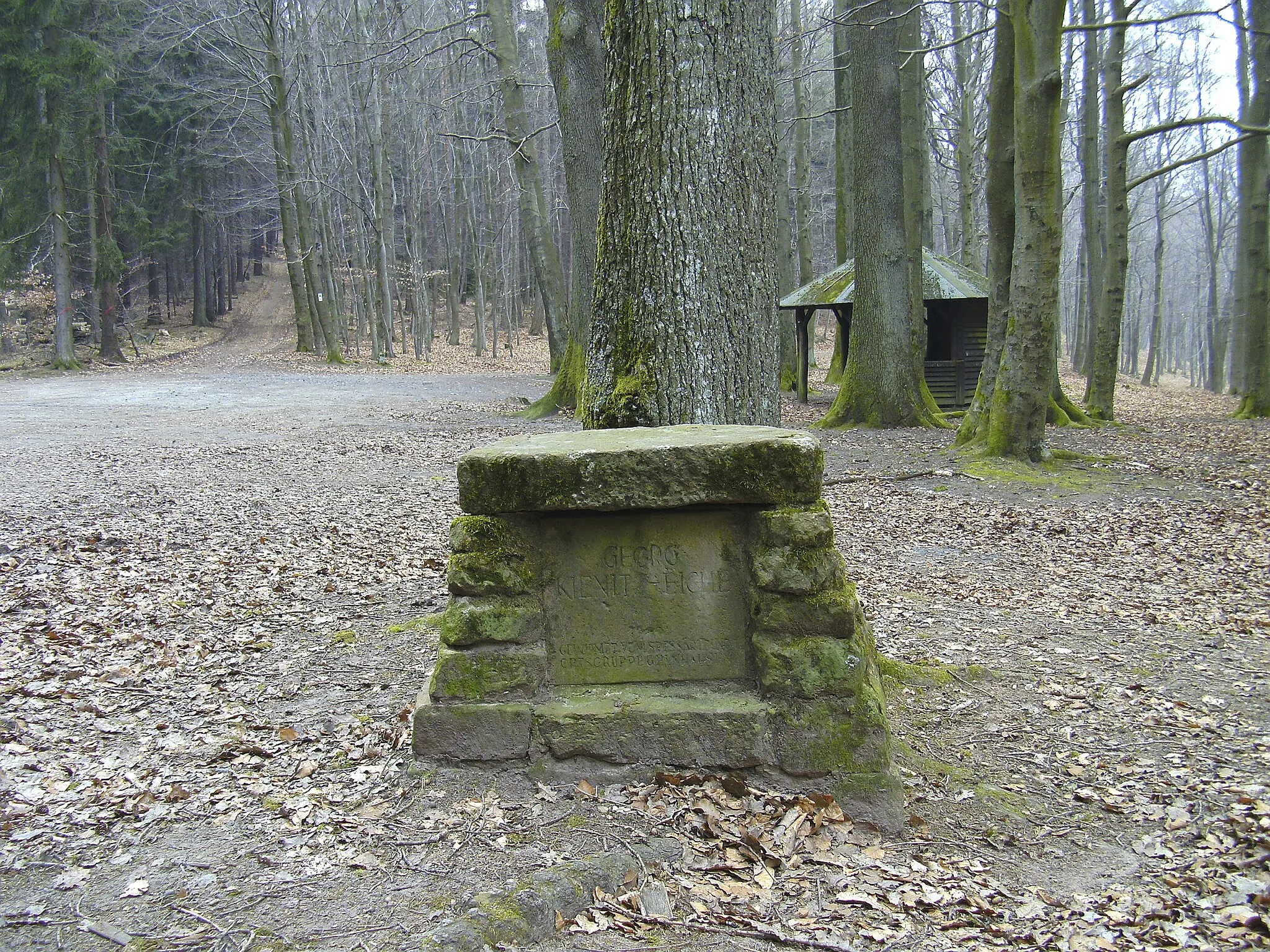 Photo showing: Denkmal, Georg-Kienitz-Eiche auf dem Hufeisen

Großenhausen Denkmal Georg-Kienitz-Eiche.jpg has an entry on OpenStreetMap (show).

العربيَّة | বাংলা | Deutsch | Ελληνικά | English | français | italiano | македонски | português | sicilianu | +/−