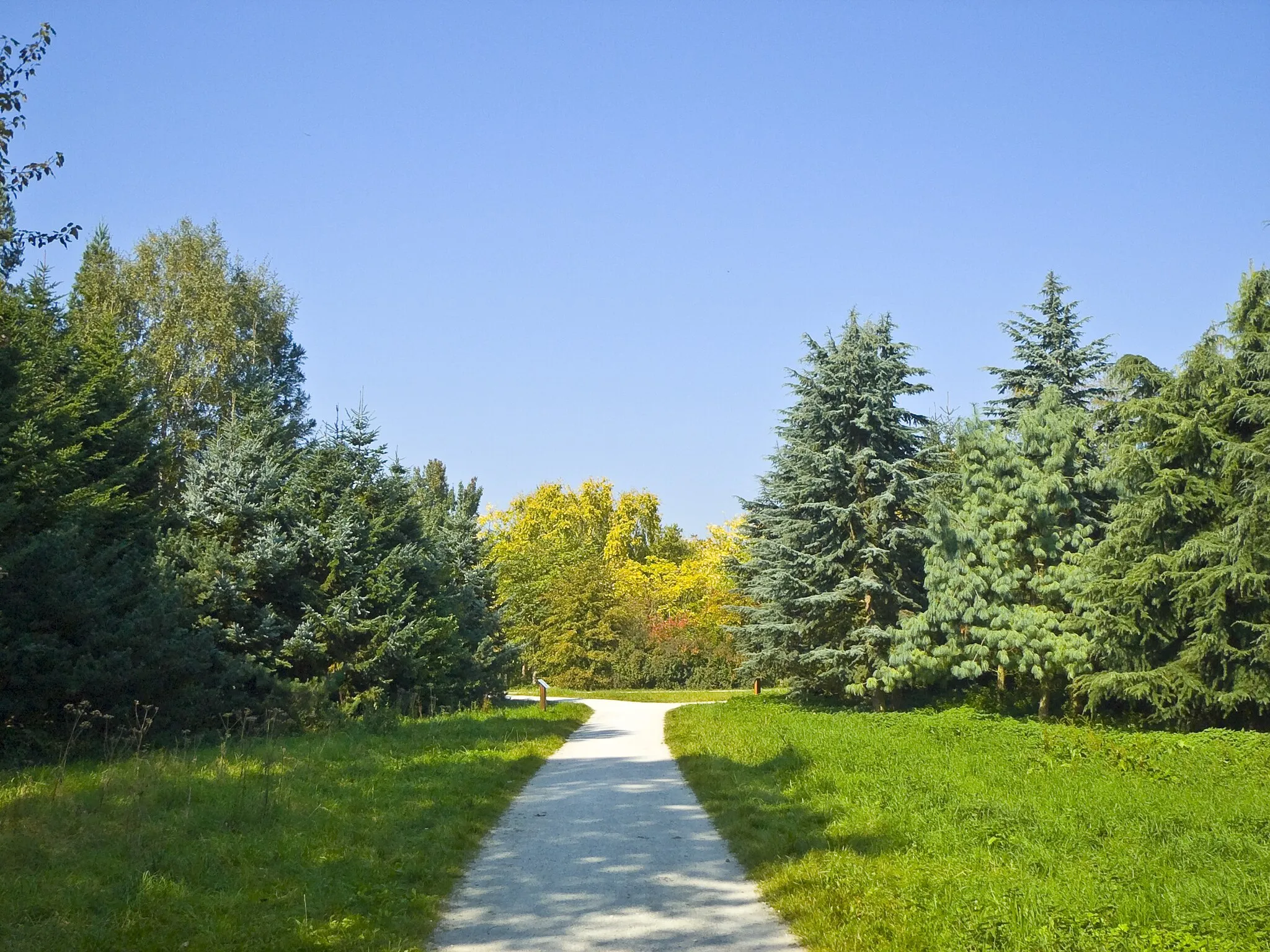 Photo showing: Arboretum Main-Taunus, Abteilung Himalaya, Japan