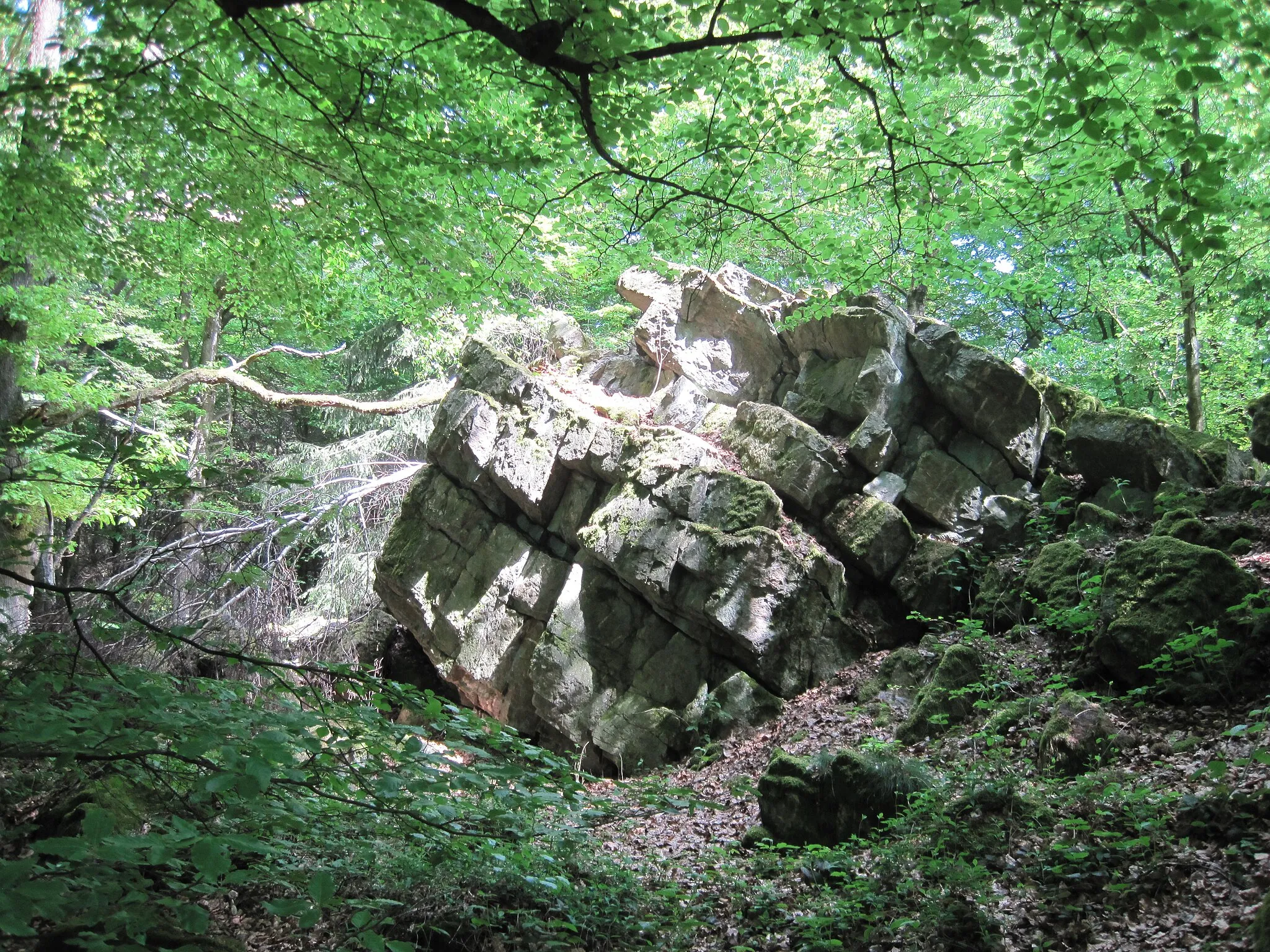 Photo showing: Naturdenkmal Grauer Stein (ca. 529 m) (Taunusquarzit), am Rheinhöhenweg westlich der Kalten Herberge, in der Waldgemarkung von Oestrich (Rheingau)