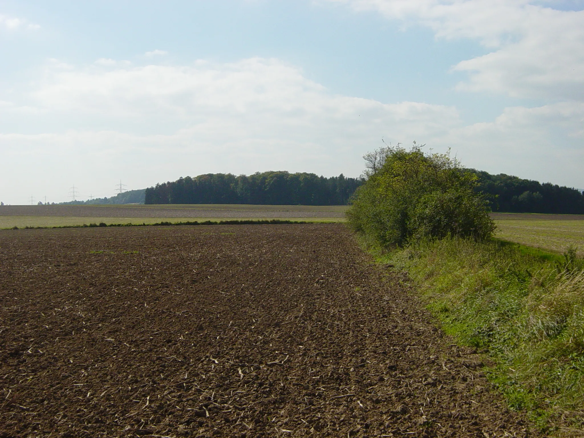 Photo showing: Obergermanischer Limes, Turmstelle Wp. 4/48, Zustand aktuell: "Intensiv landwirtschaftlich genutzte Fläche" nach Limesentwicklungsplan Hessen, Foto nachgestellt S.485, Karte S.472