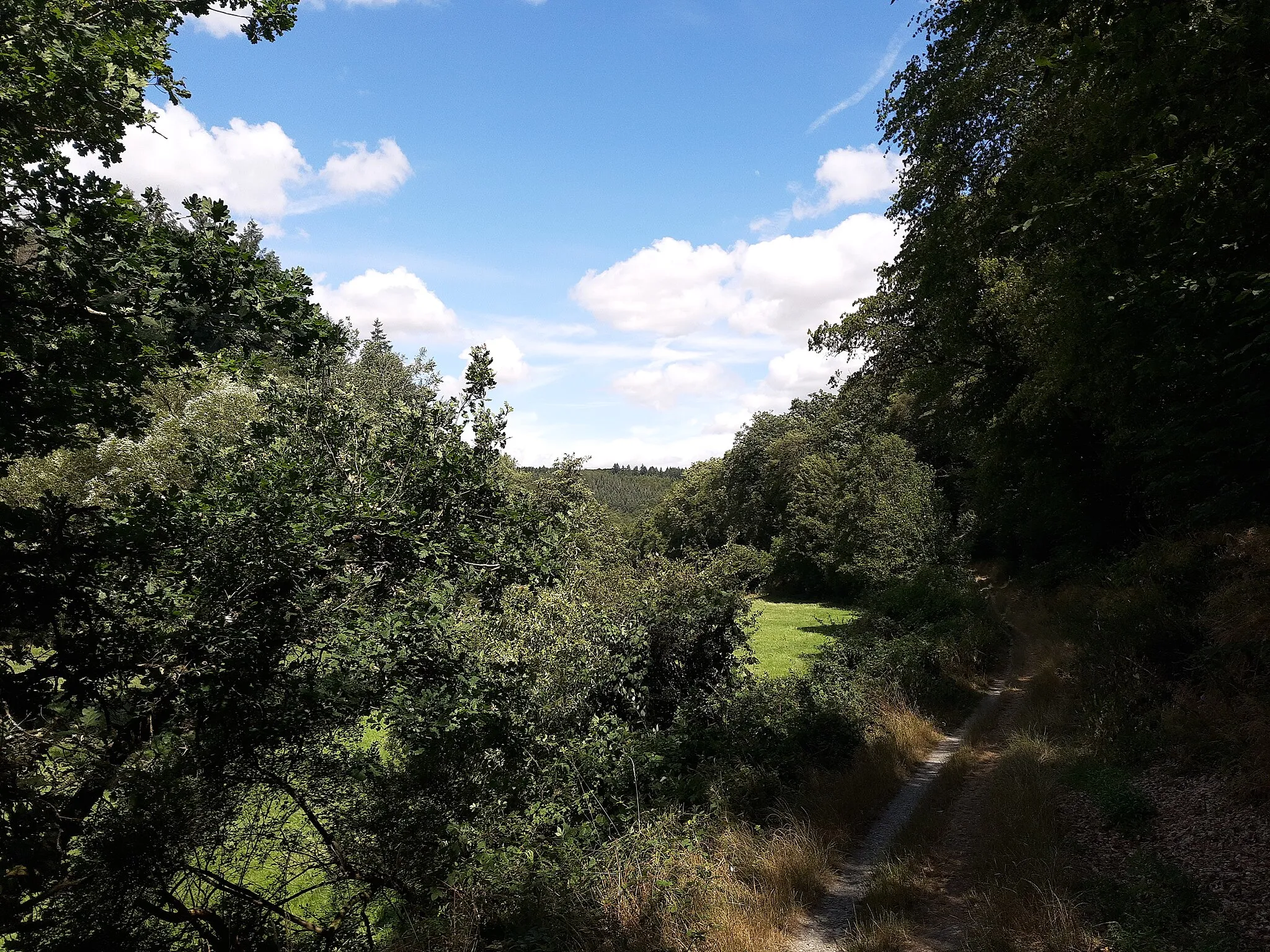 Photo showing: Görsbach valley, down-creek Niederaufoff