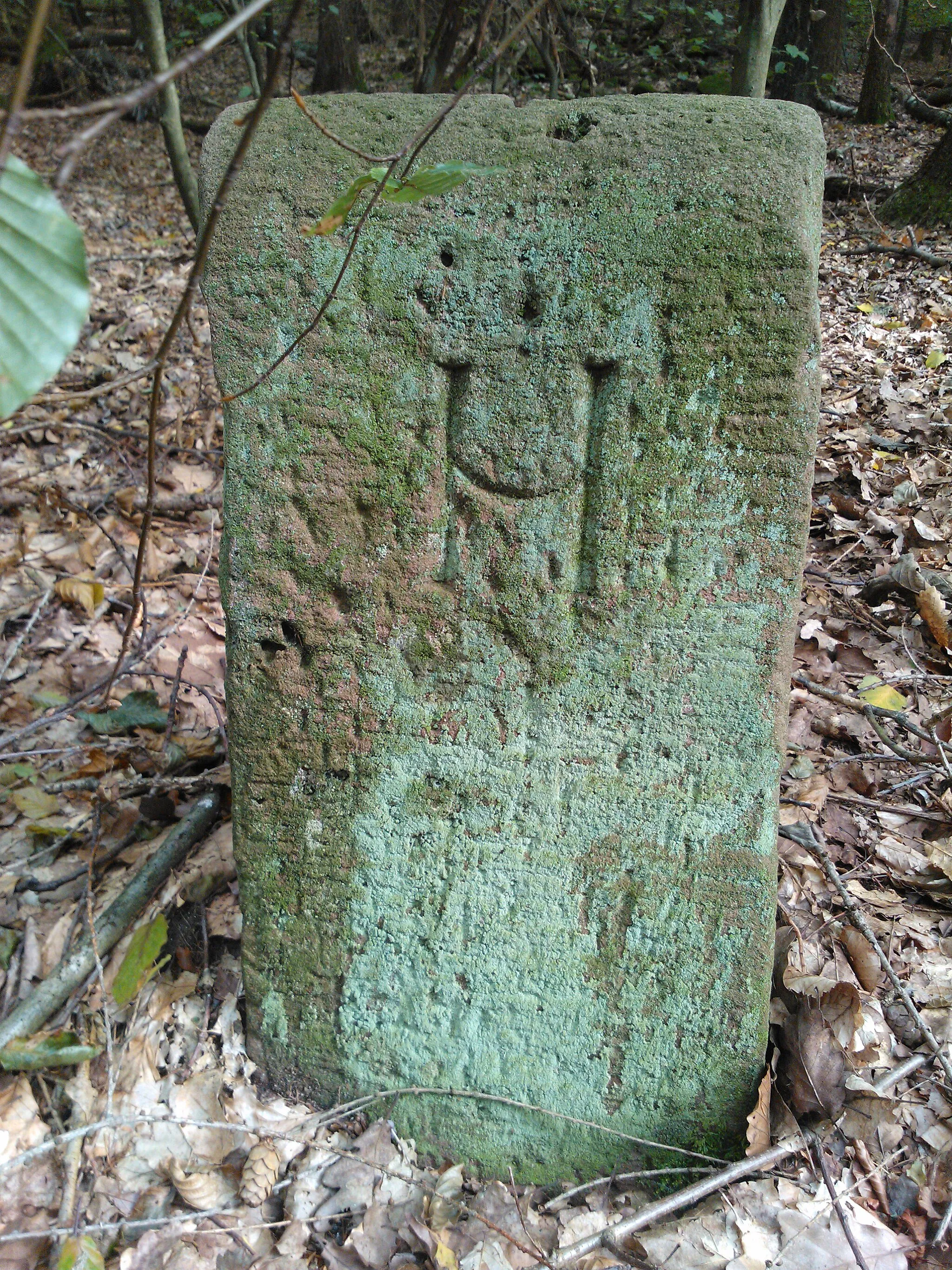 Photo showing: Ein Gemarkunsgstein am westlichen Rand des Jagschlosses mit einem "H" für den Ort Hetzbach