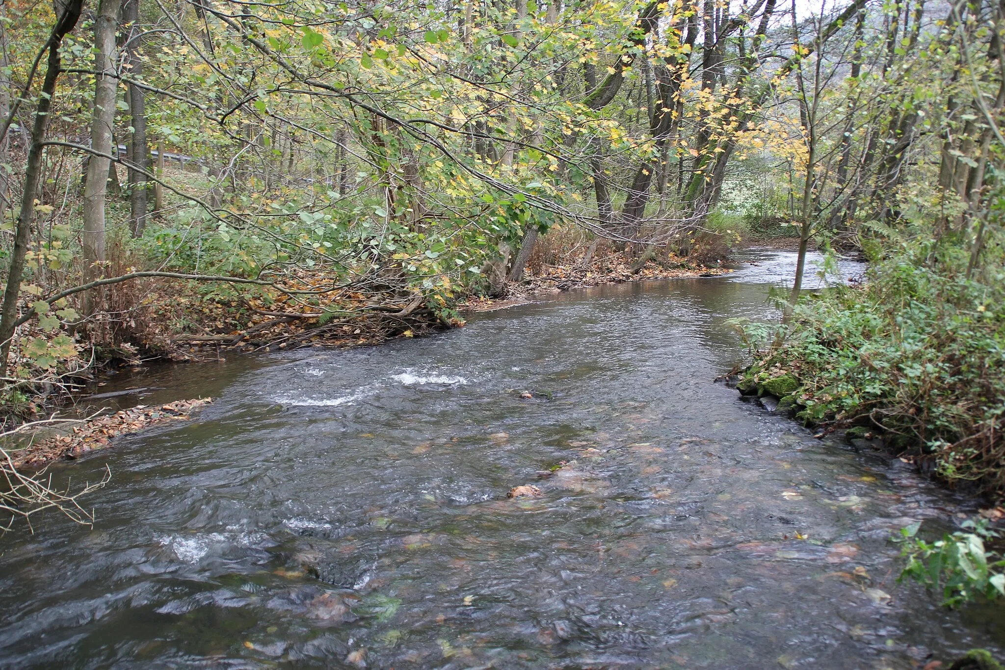 Photo showing: Der Marbach unterhalb des Marbach-Stausees bei Erbach im Odenwald