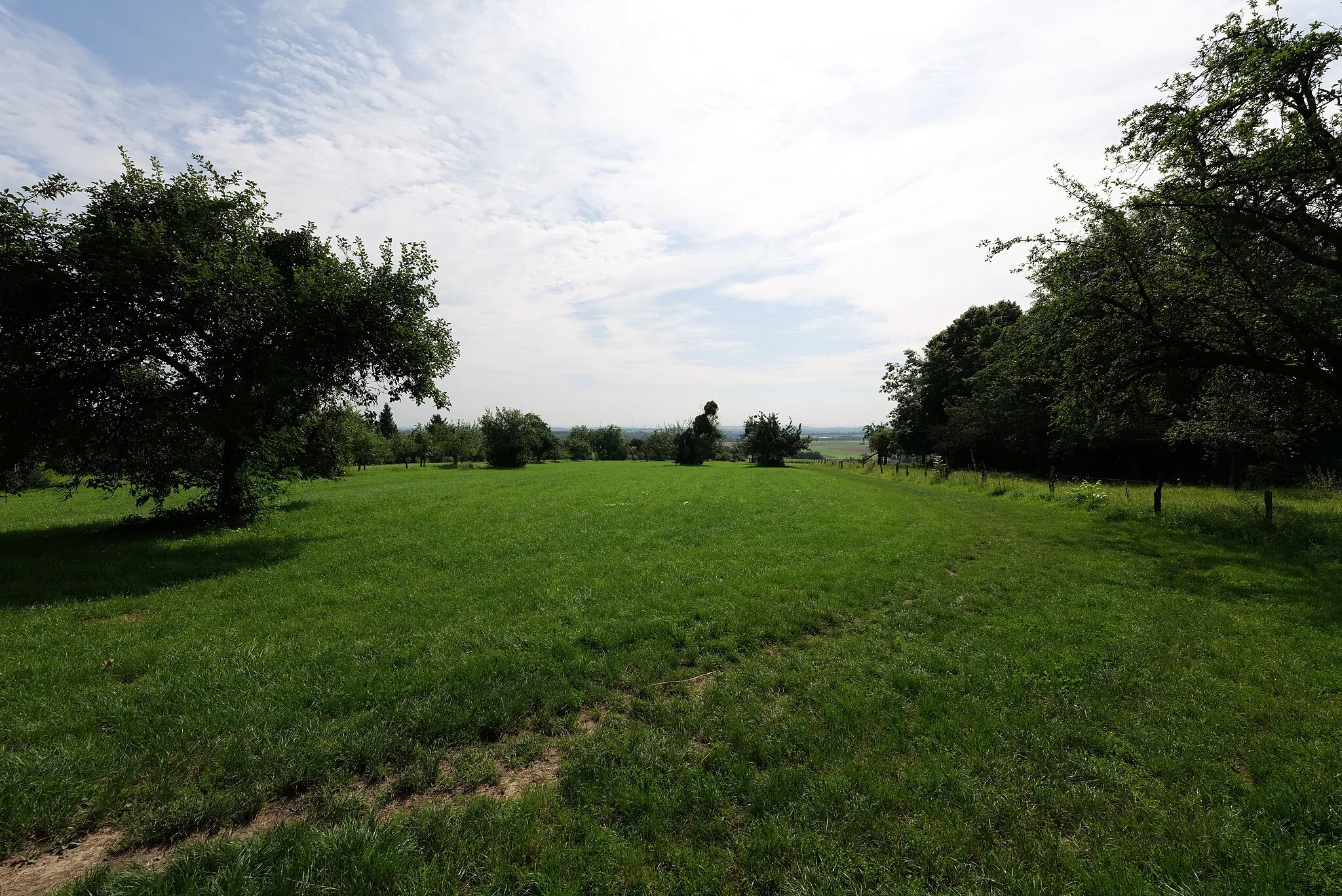 Photo showing: Streuobstwiese in Gonzenheim.