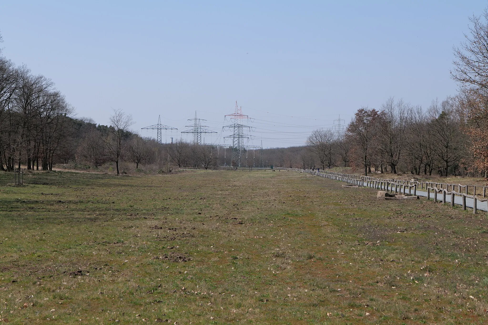 Photo showing: Kelsterbacher Wald am 27. März 2020.