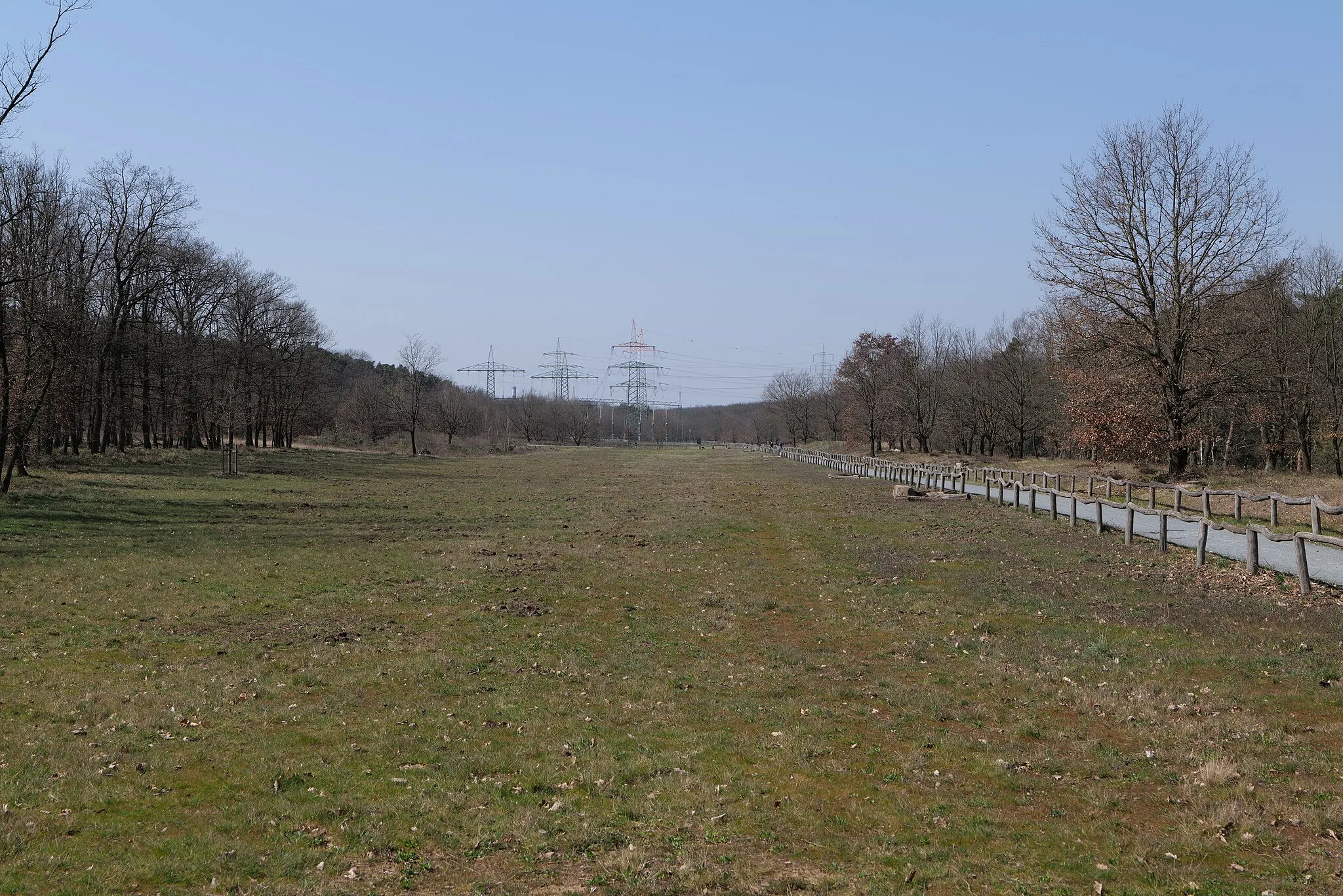 Photo showing: Kelsterbacher Wald am 27. März 2020.