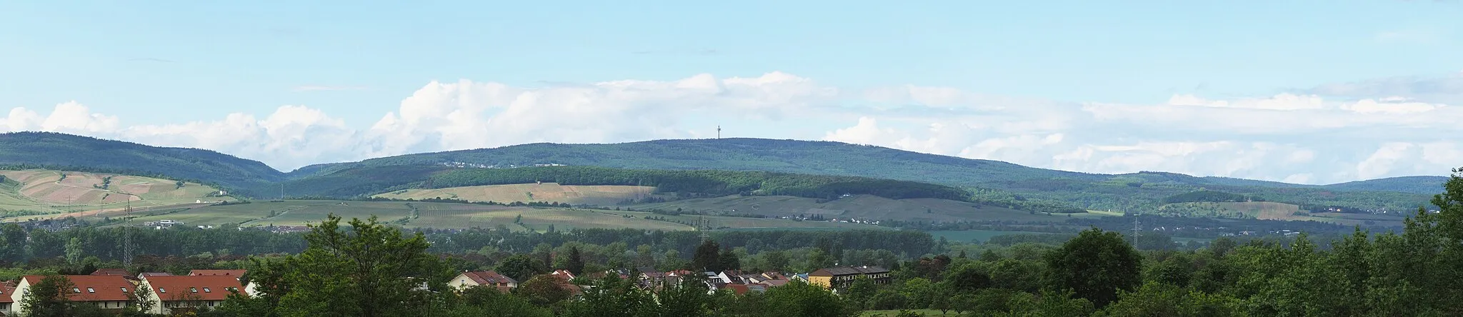 Photo showing: View towards Hohe Wurzel from the Rhine valley