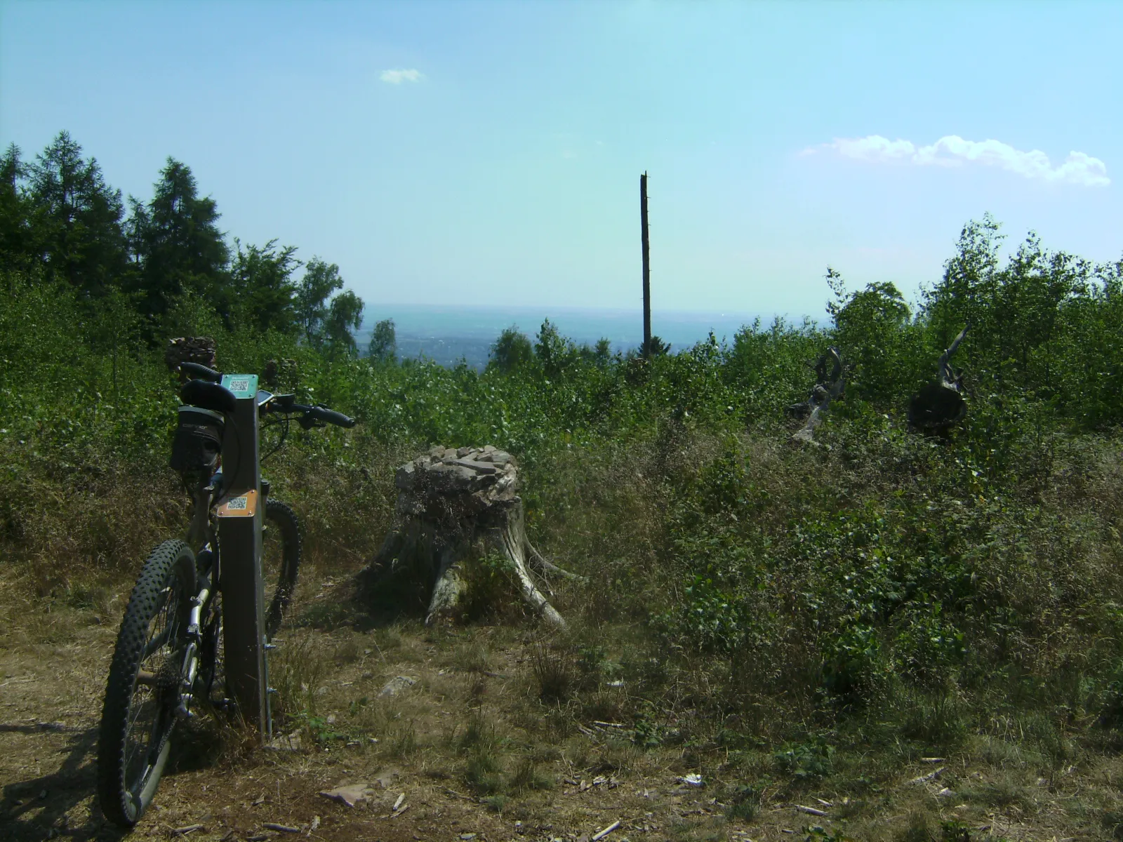 Photo showing: Die Rassel im Taunus ist mit einer Höhe von 539 m ü. NN die höchste eigenständige Erhebung im Stadtgebiet von Wiesbaden.