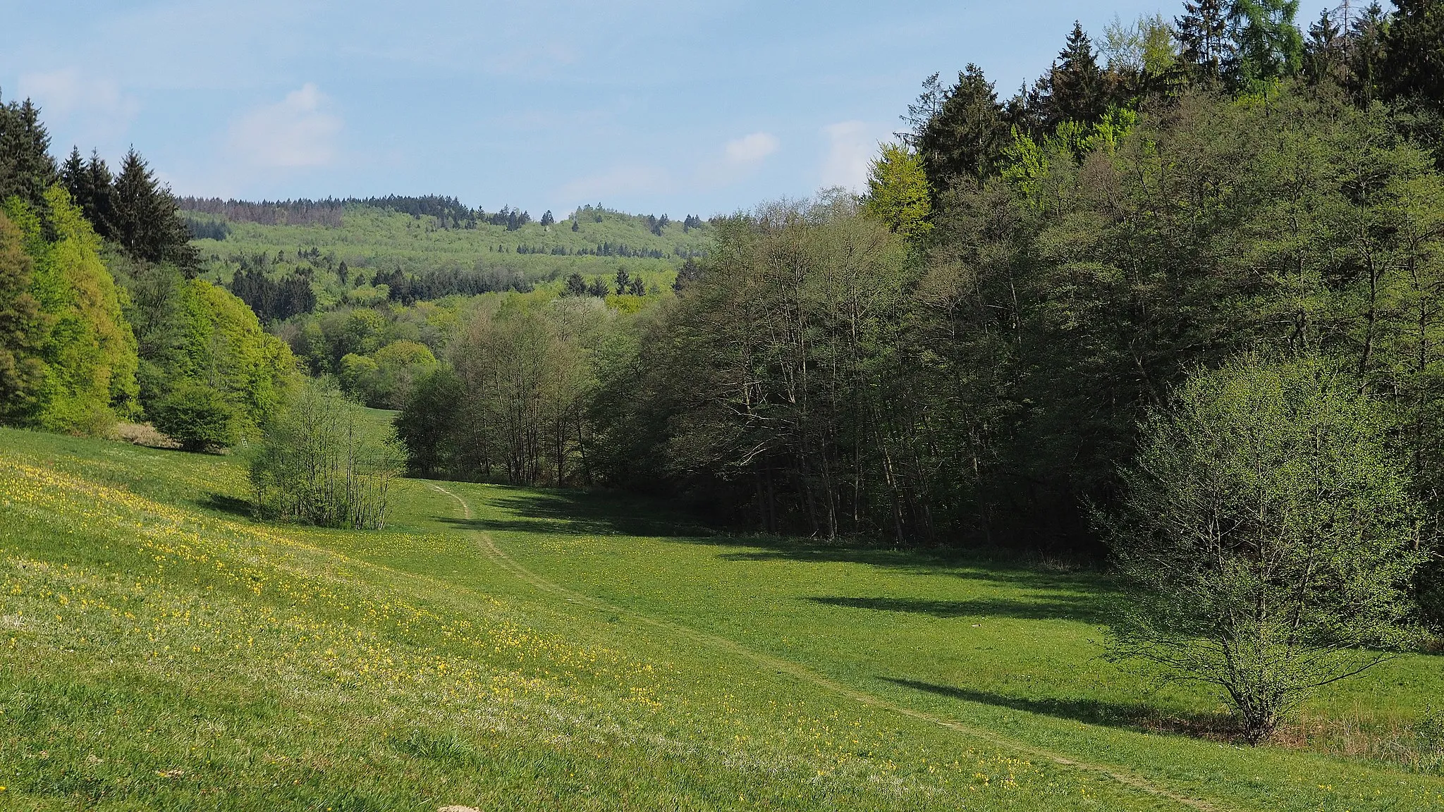 Photo showing: View from Goldstein valley towards Rassel mountain, Wiesbaden, Germany