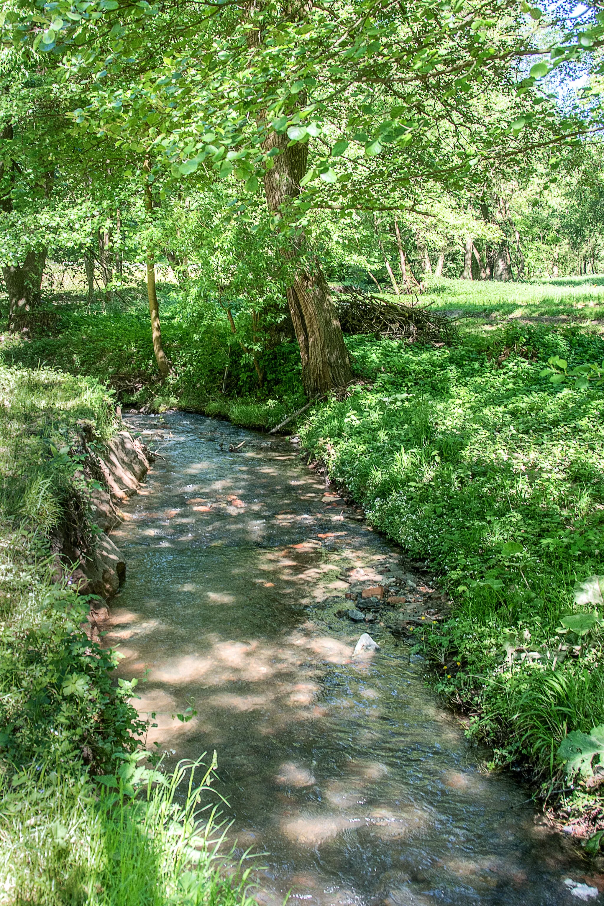 Photo showing: Beerbach, ein Zufluss zur Modau in der Höhe zwischen Haus Burgwald und Frankenberger Mühle in Mühltal (Hessen)