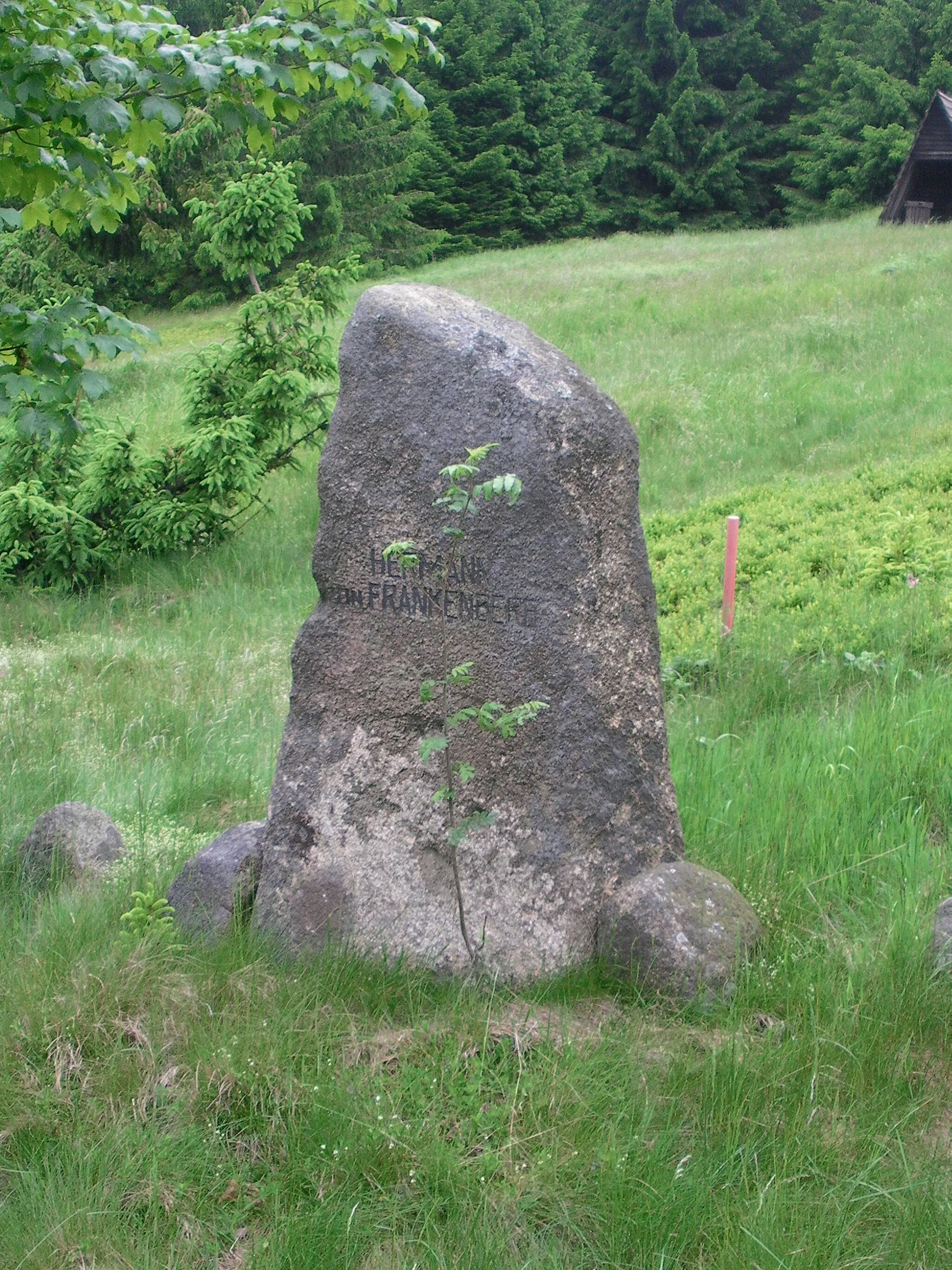 Photo showing: Der Frankenberg-Stein erinnert an Hermann von Frankenberg und Ludwigsdorf (* 10. März 1865 in Blankenburg (Harz); † 10. Januar 1931 Köterberg) einen deutschen Verwaltungsjuristen und Hauptvorsitzenden des Harzklubs.