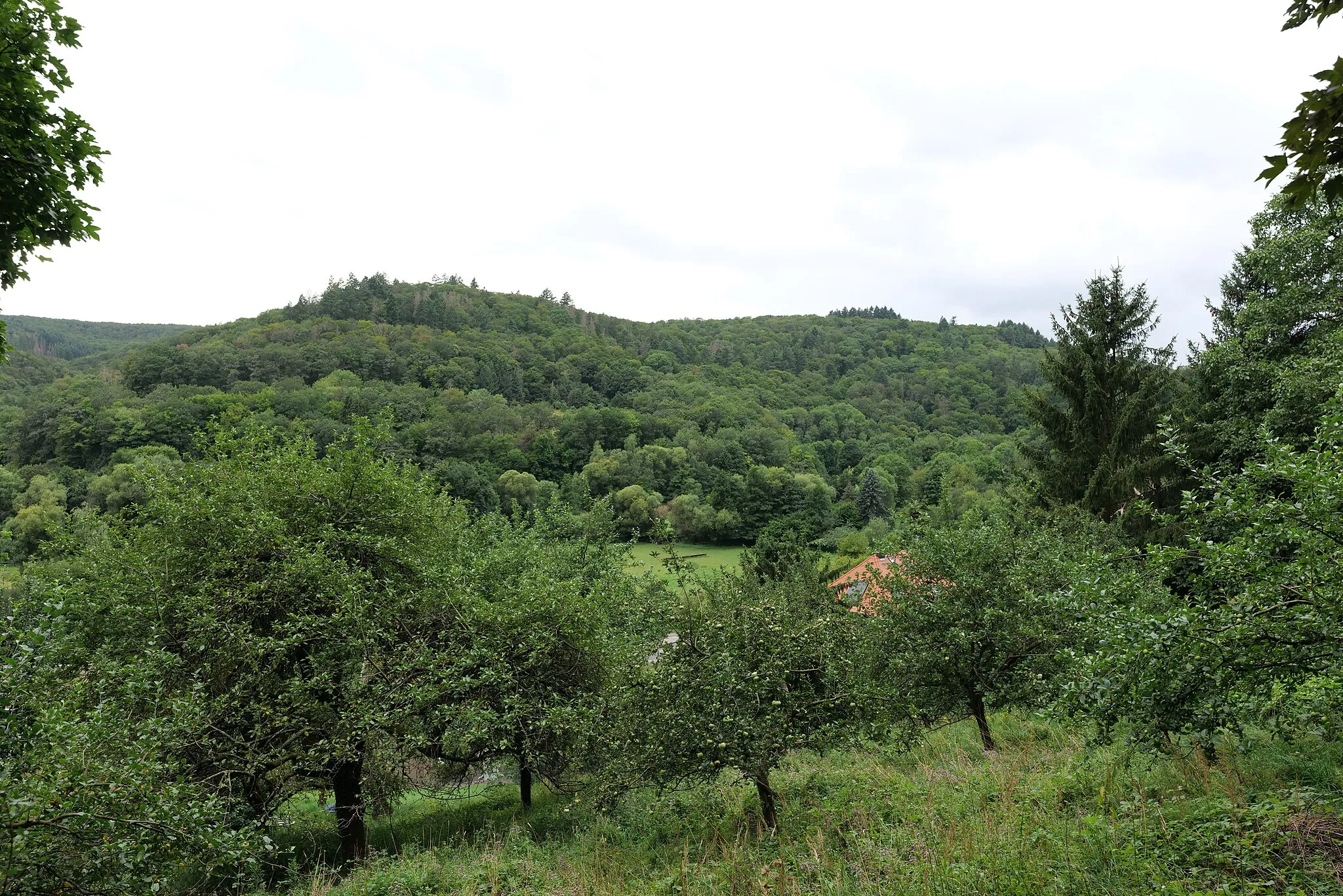 Photo showing: Taunus in Lorsbach.